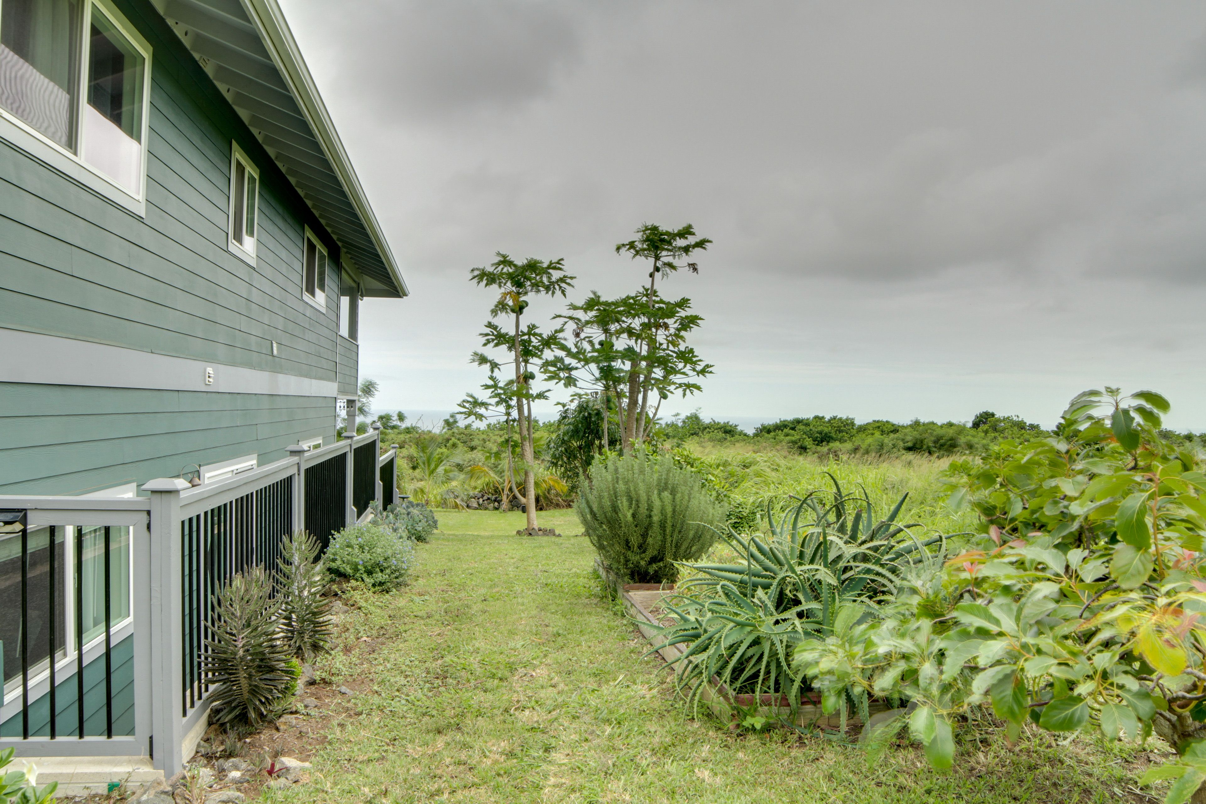 Exterior | Garden
