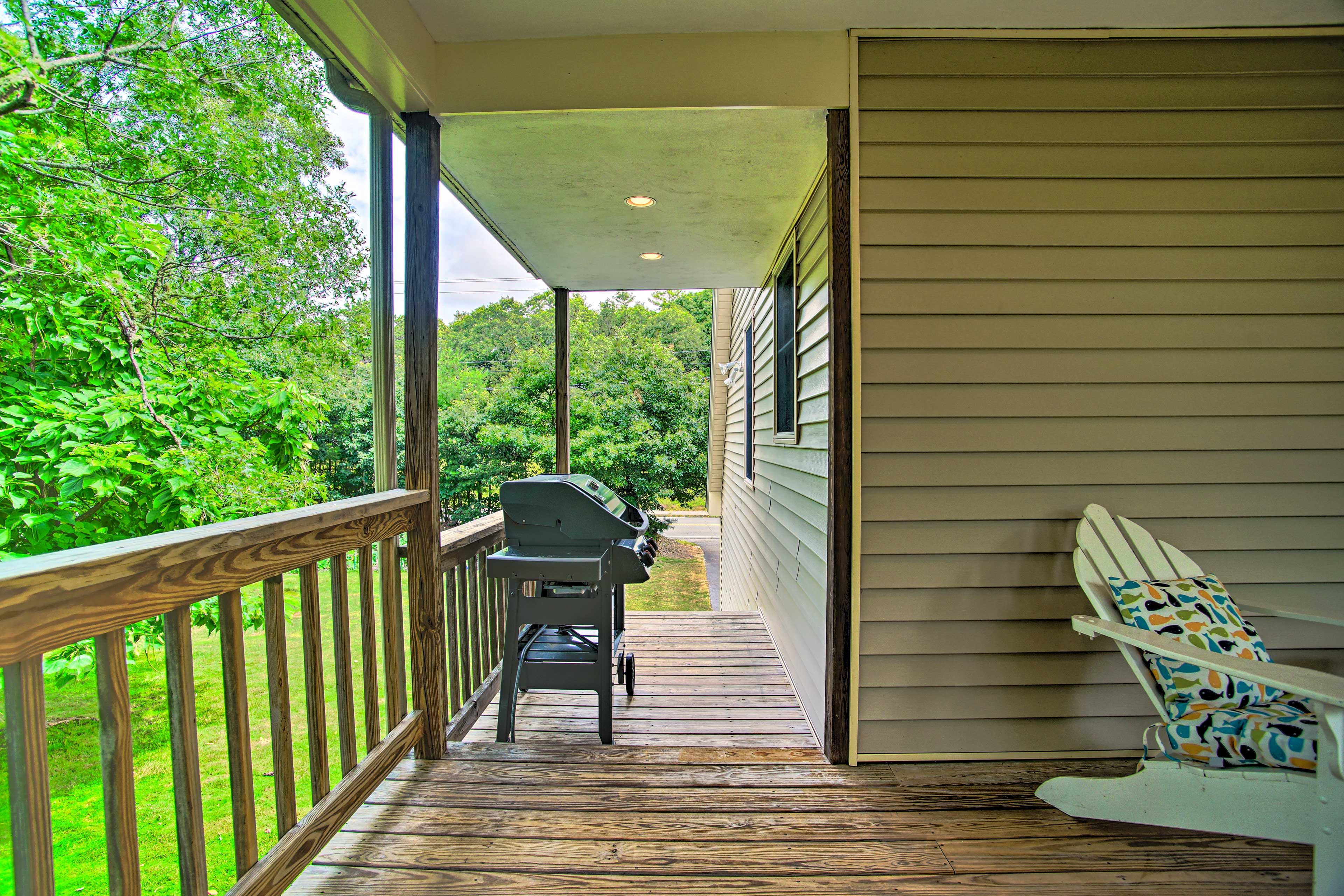 Furnished Deck