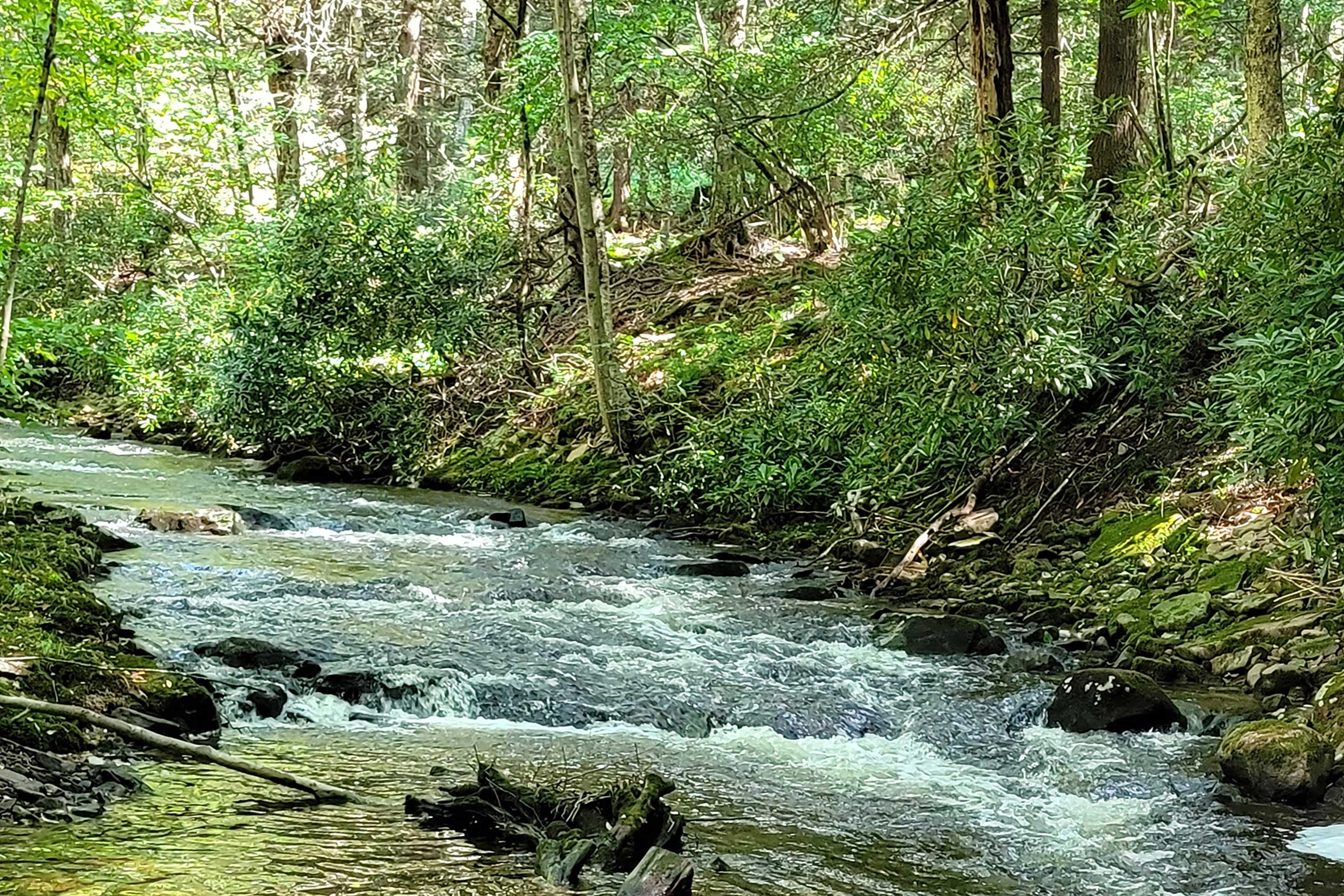Nearby Creek
