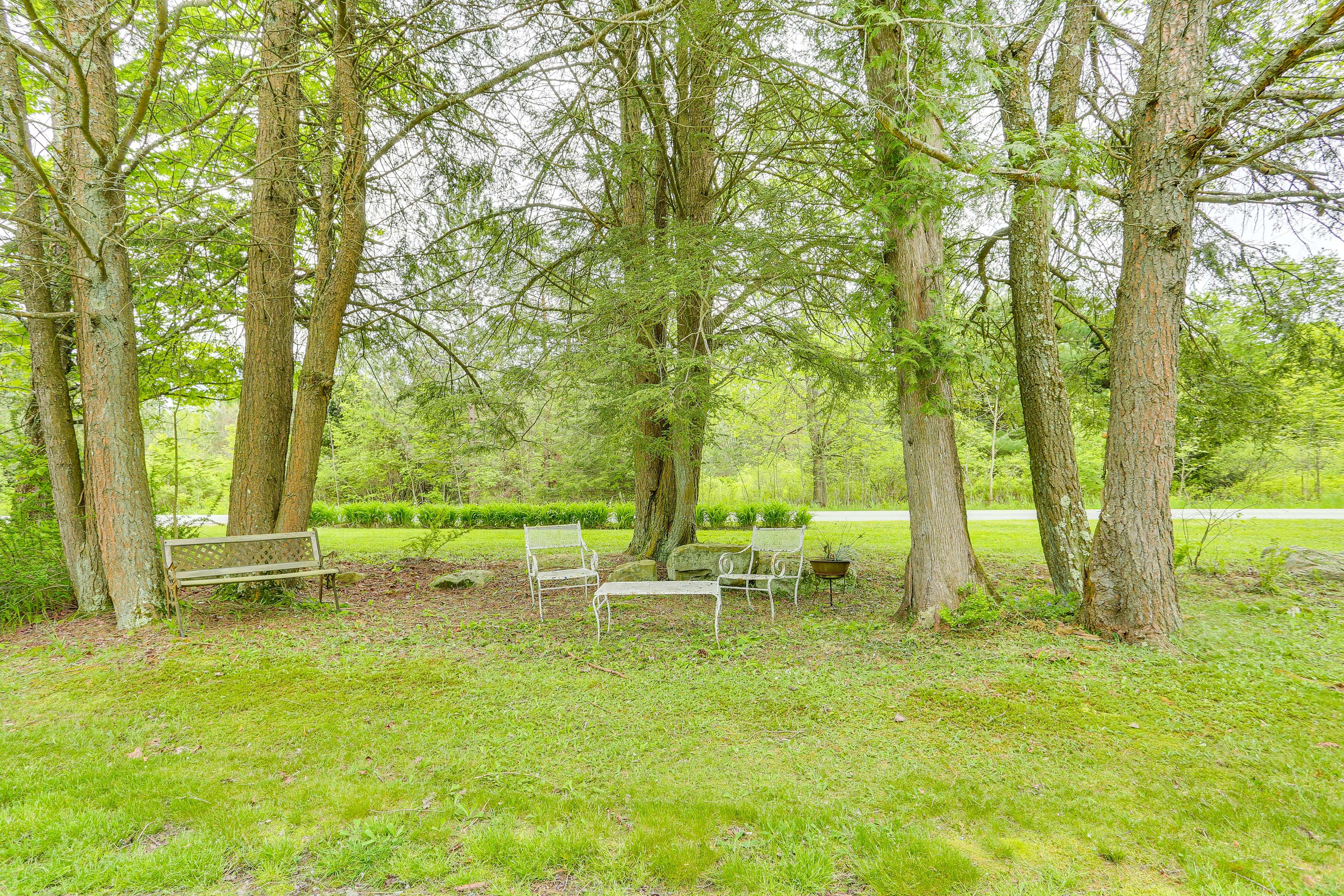 Image 33