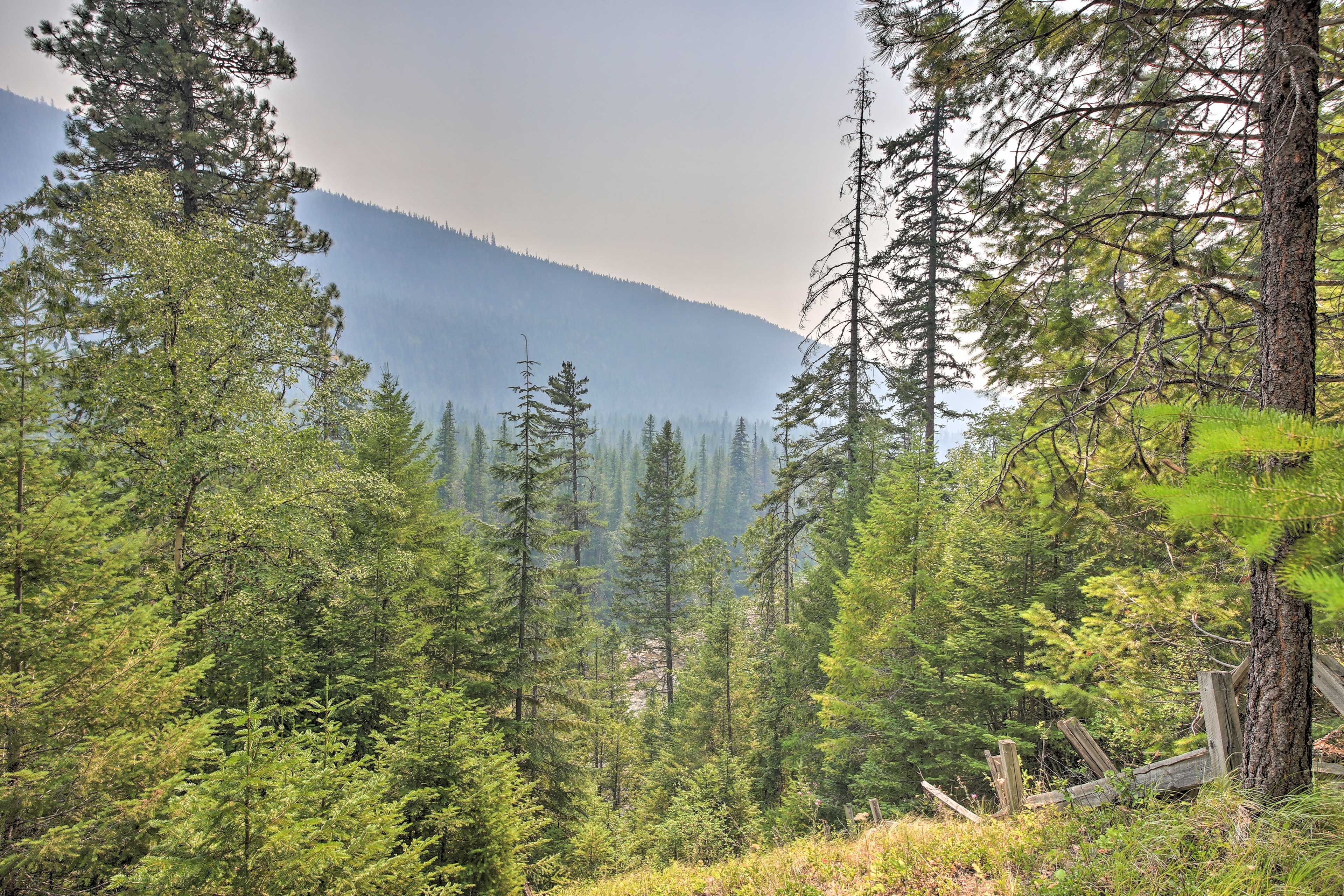 View from Cabin
