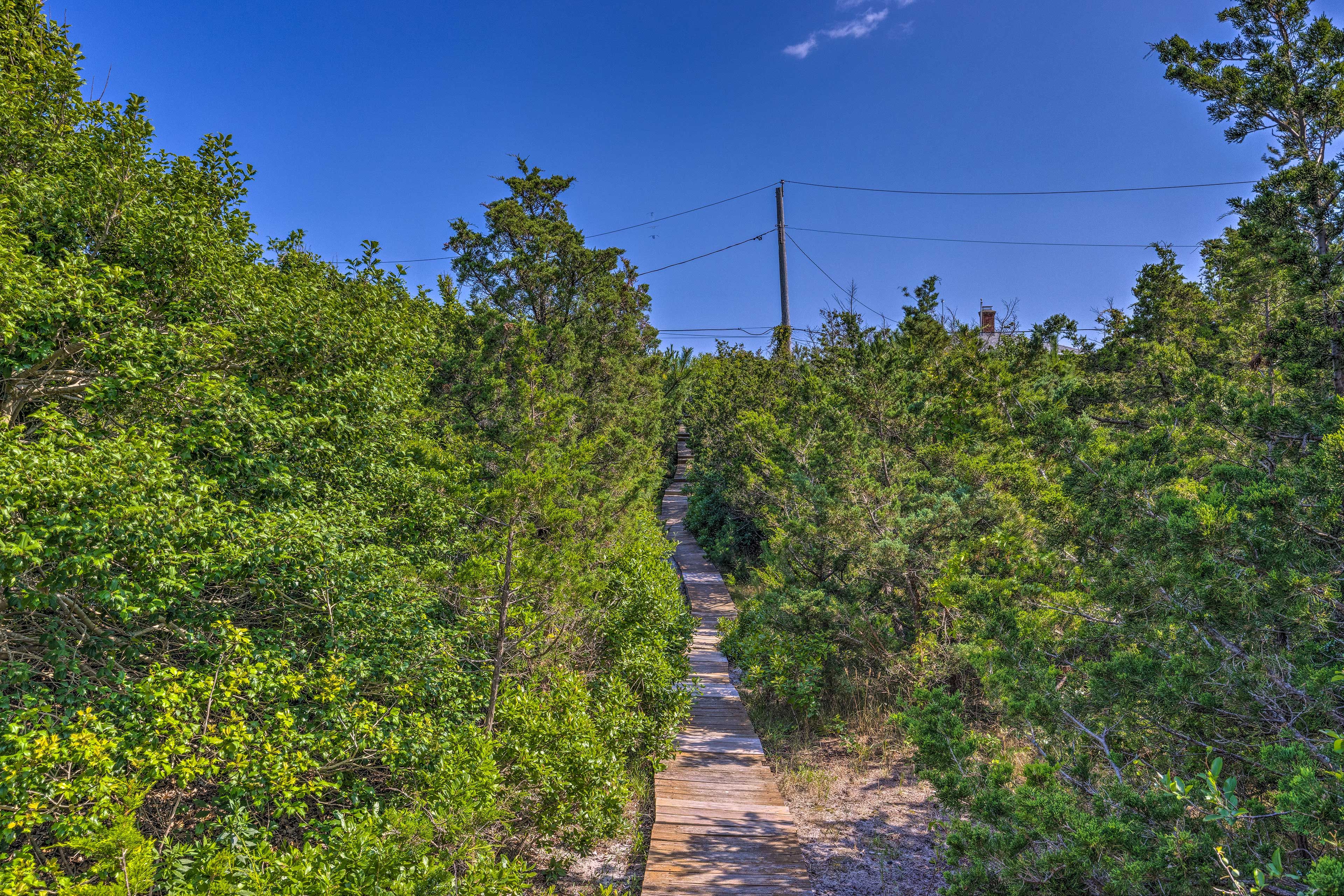 Pathway to Beach