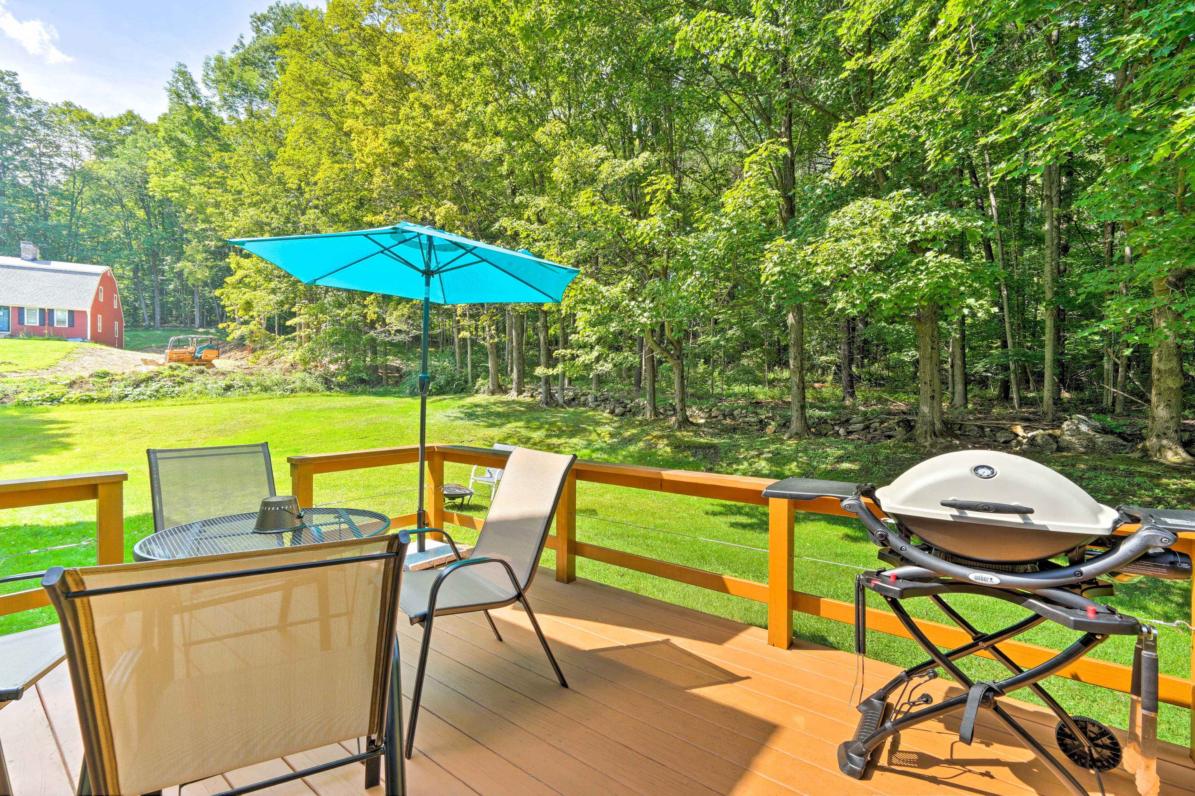 Deck | Gas Grill