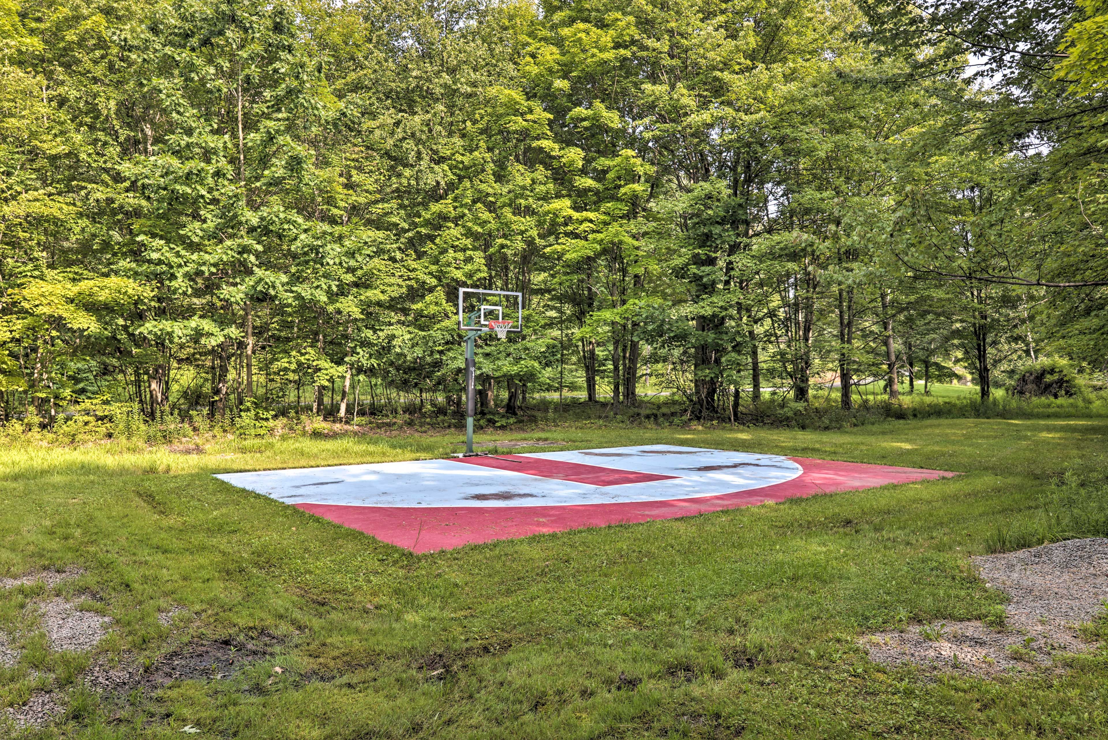 Basketball Half-Court