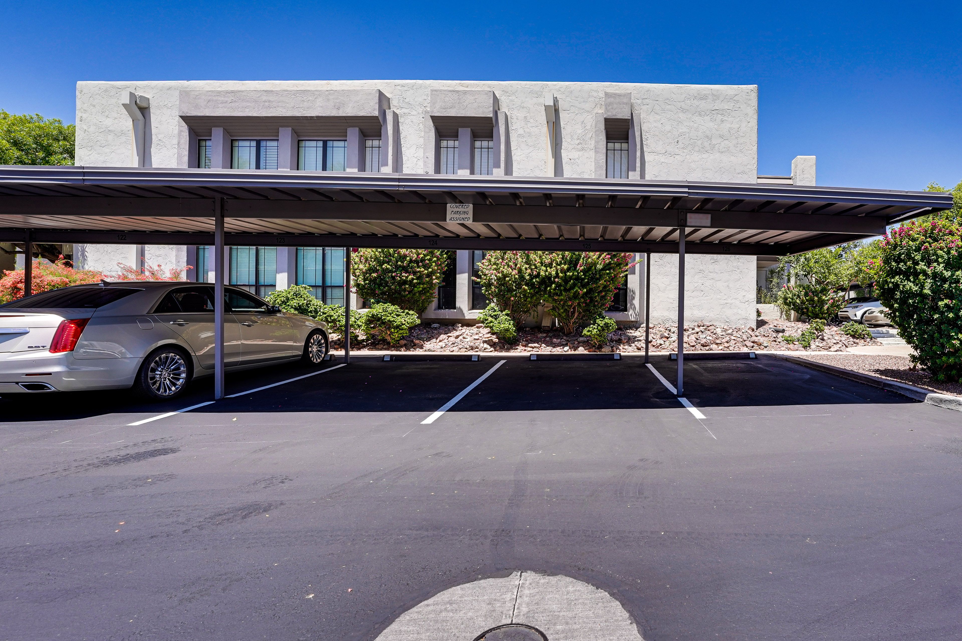 Parking | Designated Parking Spot (1 Vehicle)