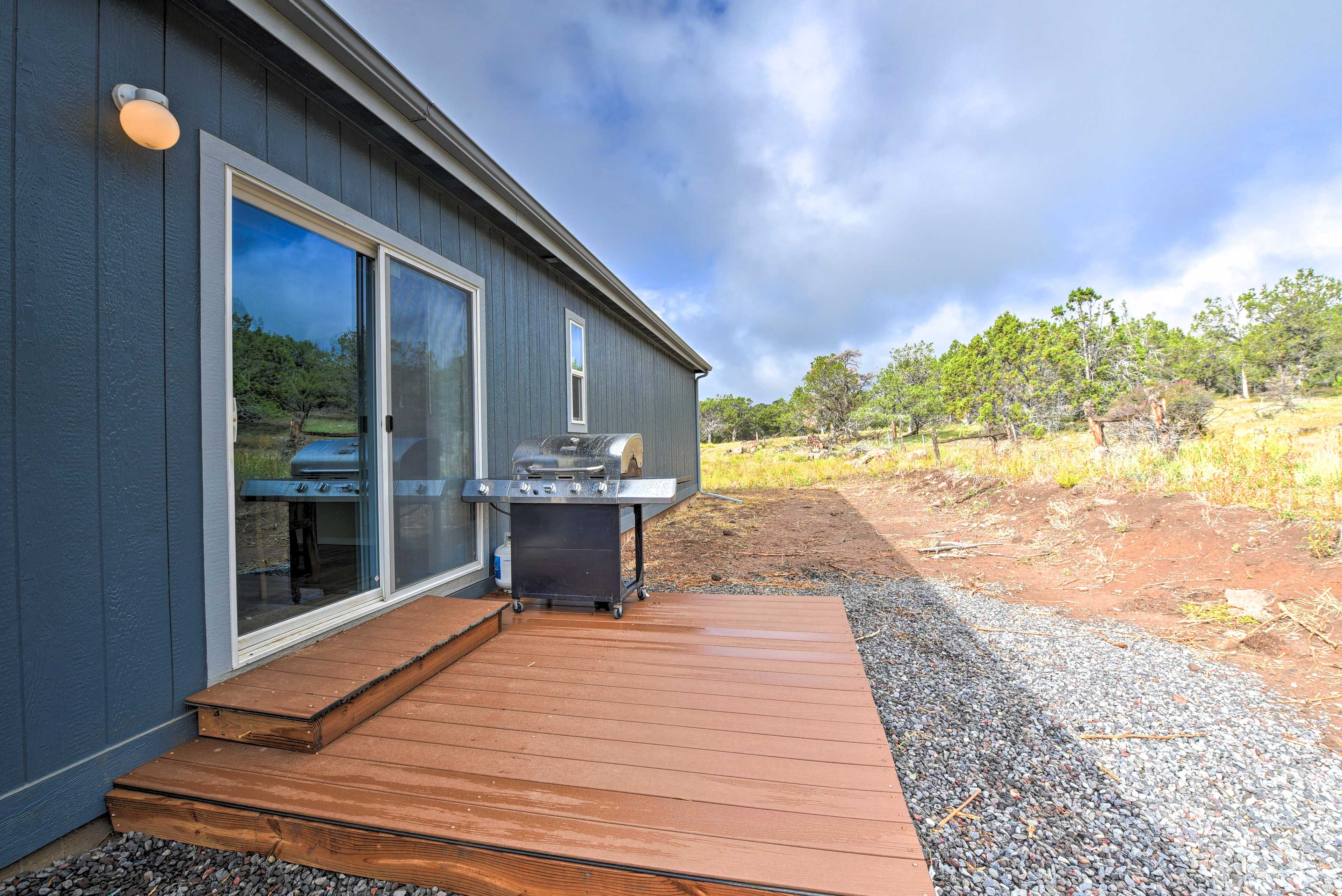 Private Backyard | Gas Grill