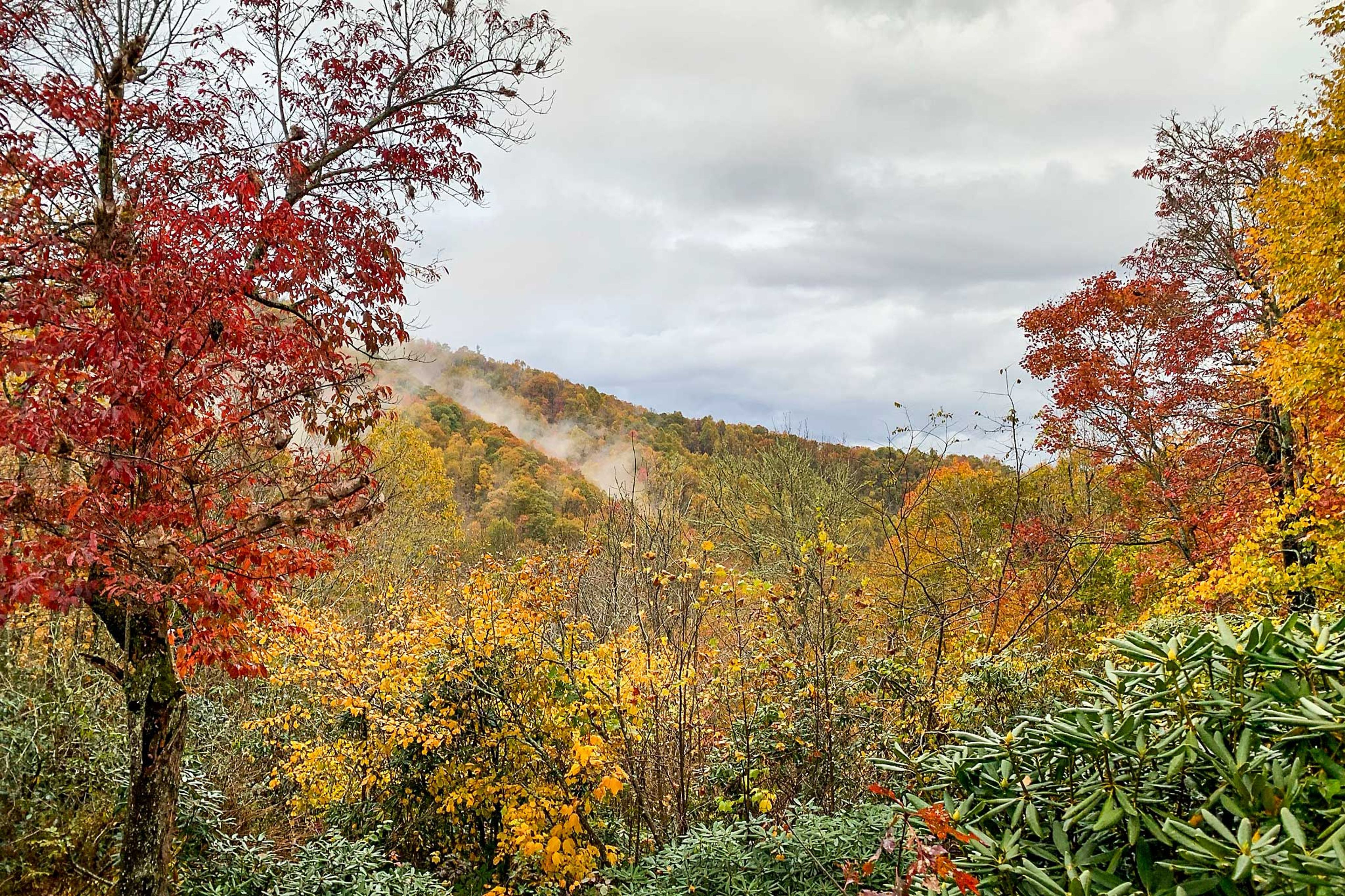 Blue Ridge Mountain Views | Private Acerage