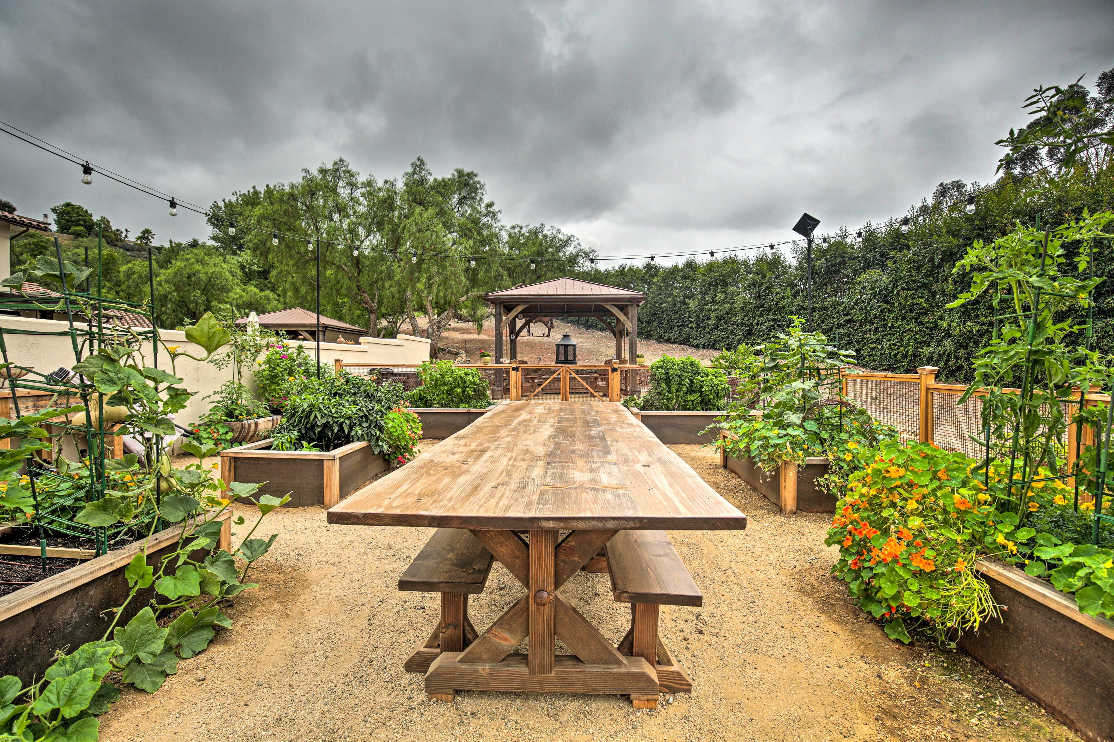 Shared Exterior Space
