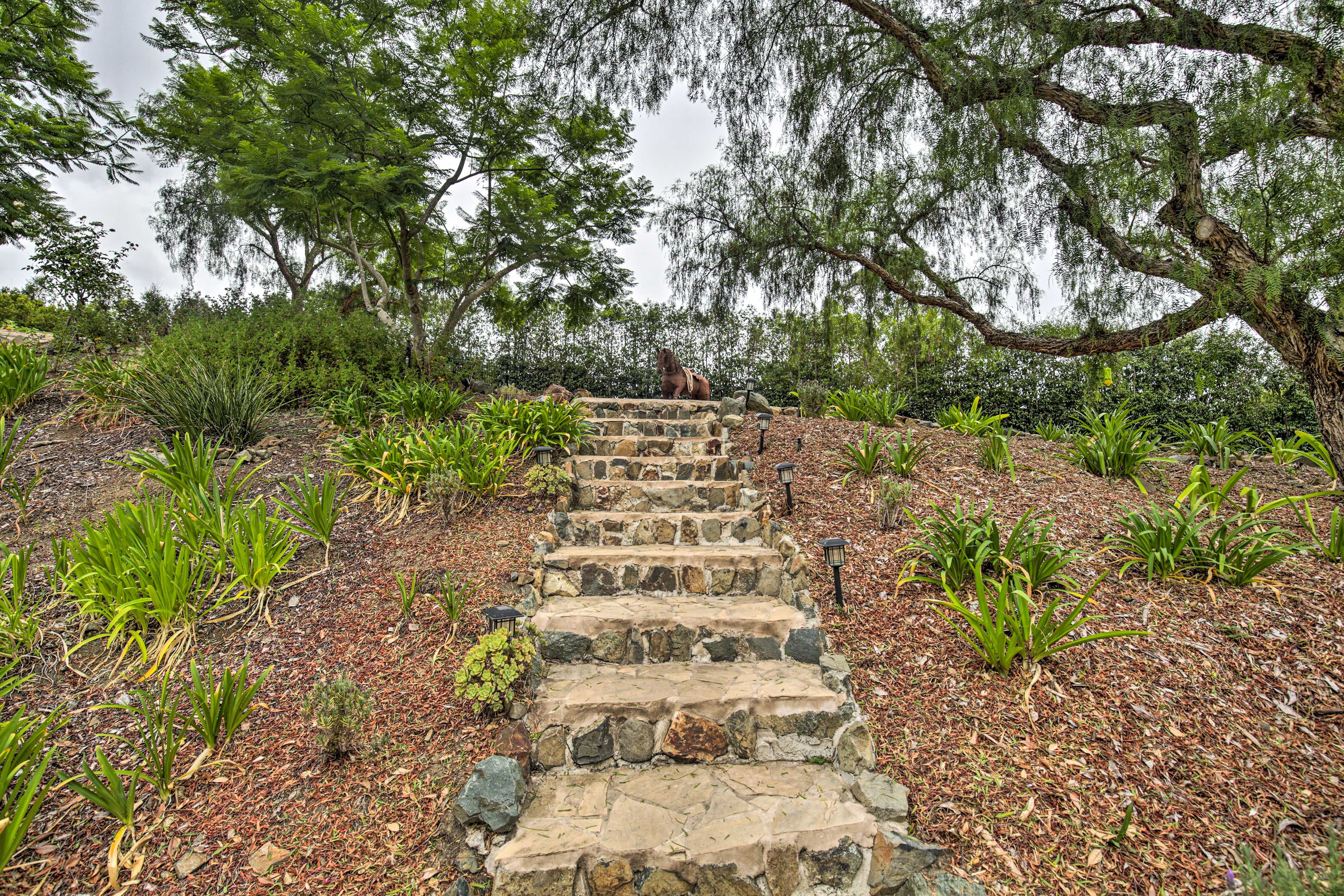 Shared Exterior Space