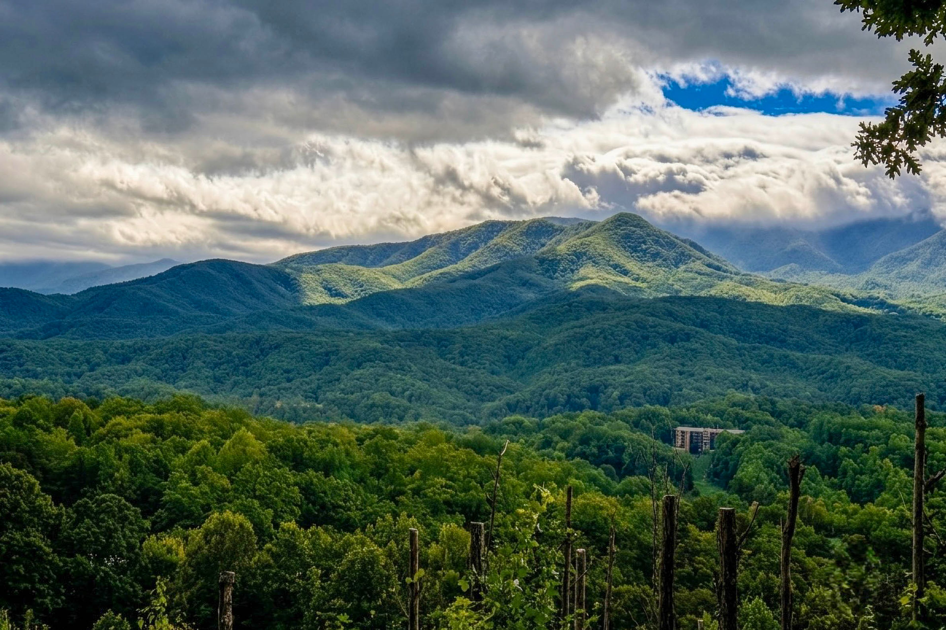 Mountain Views