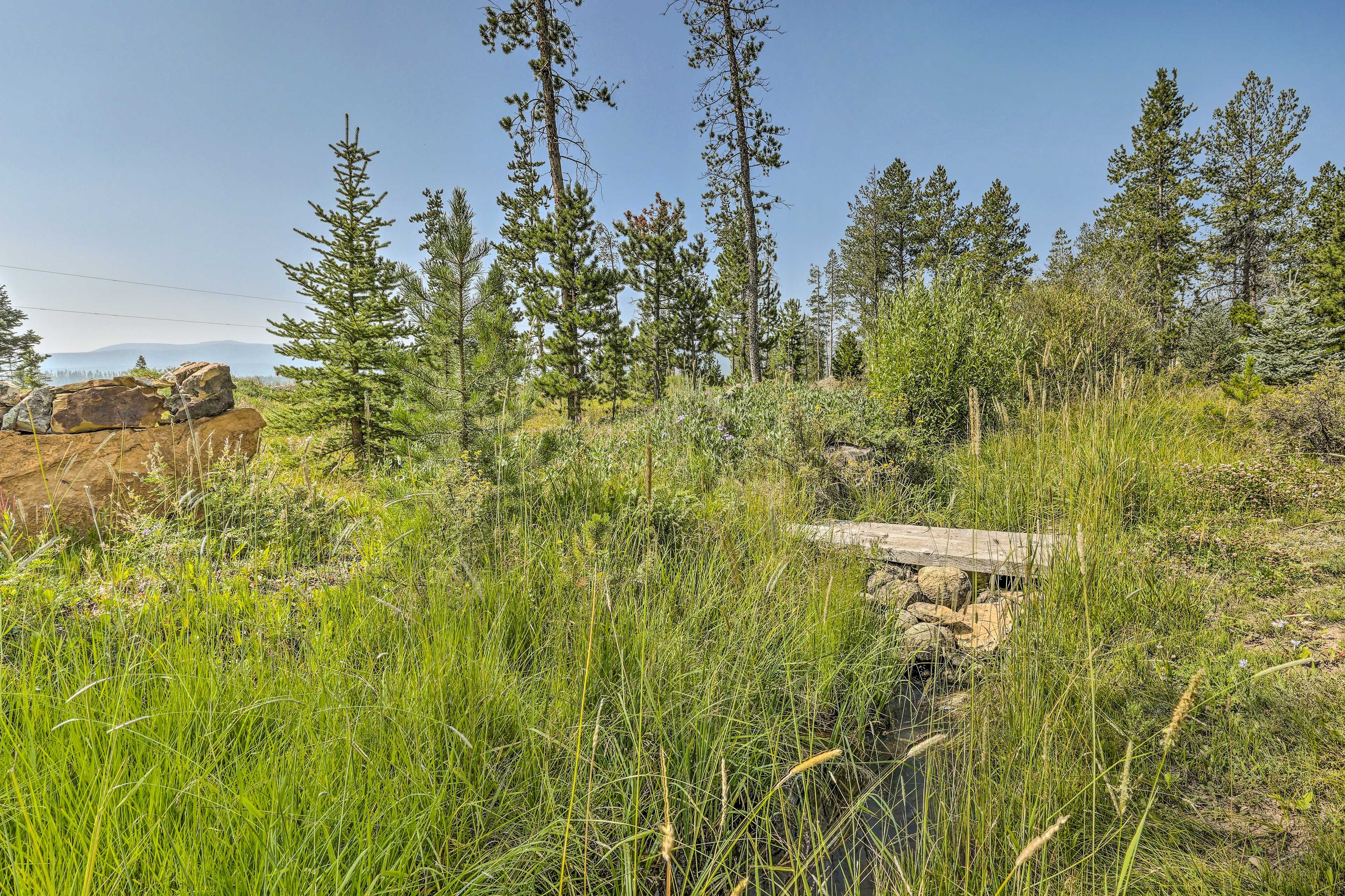 On-Site Stream