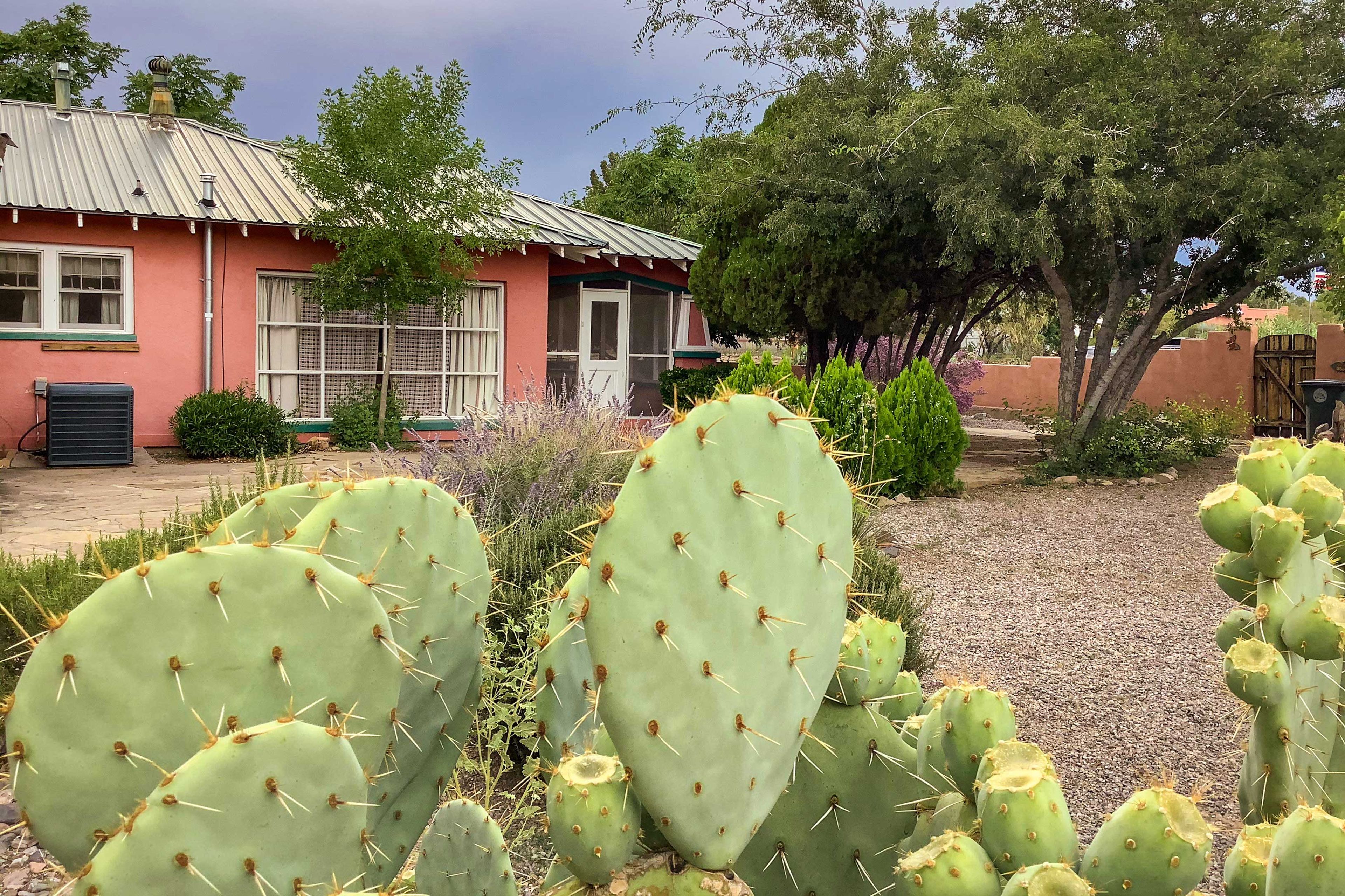 Cacti Garden