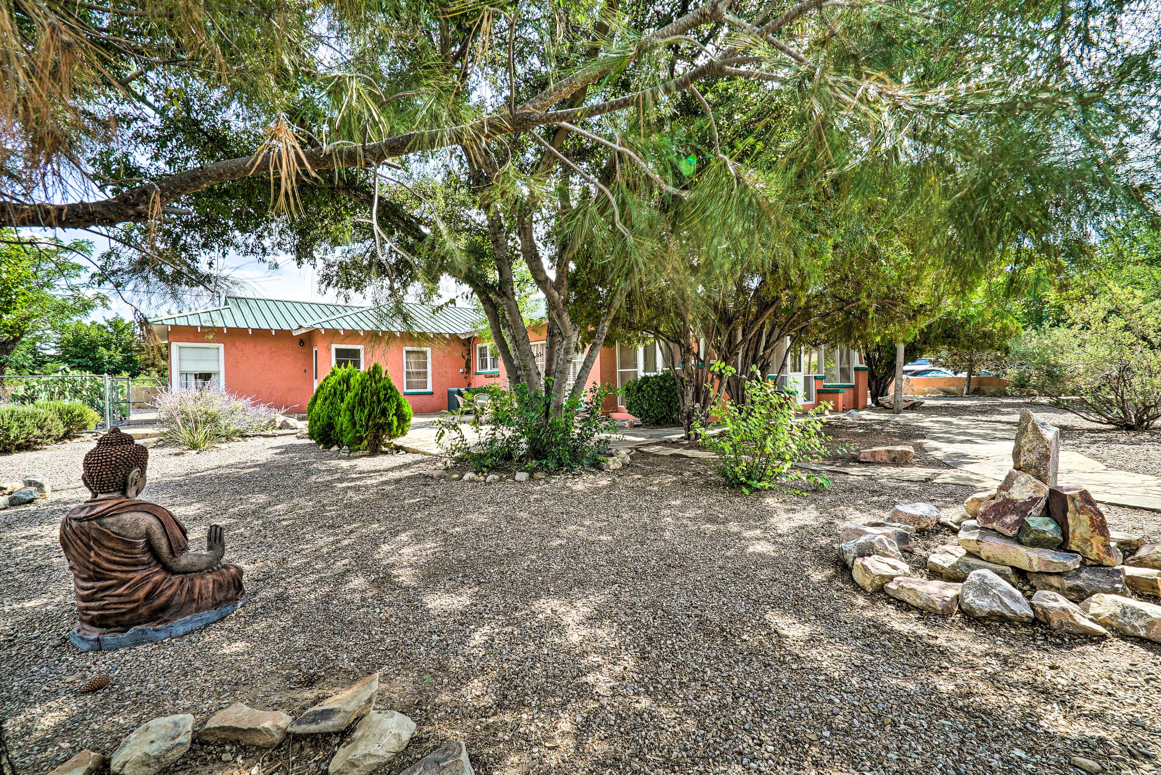 Backyard | Cacti Garden