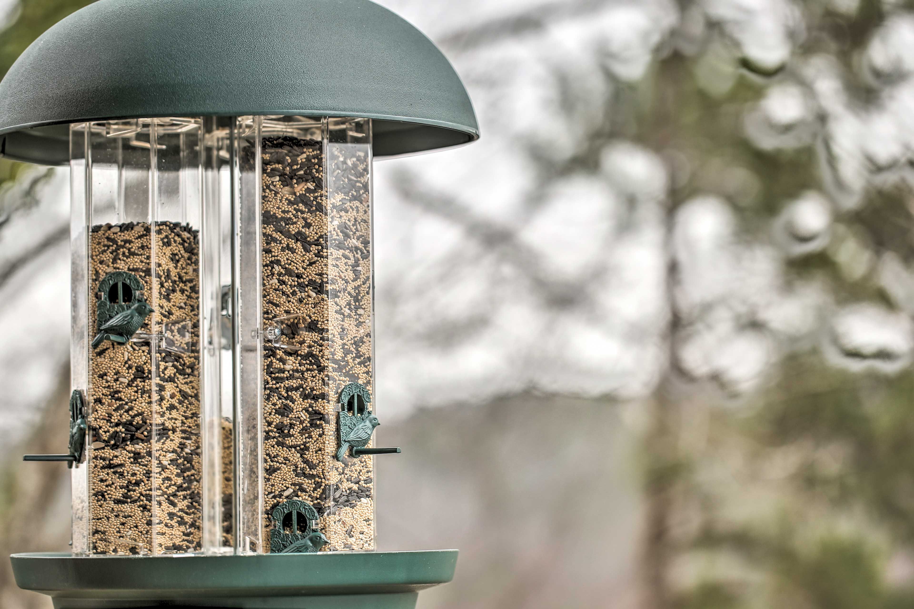 Bird Feeders