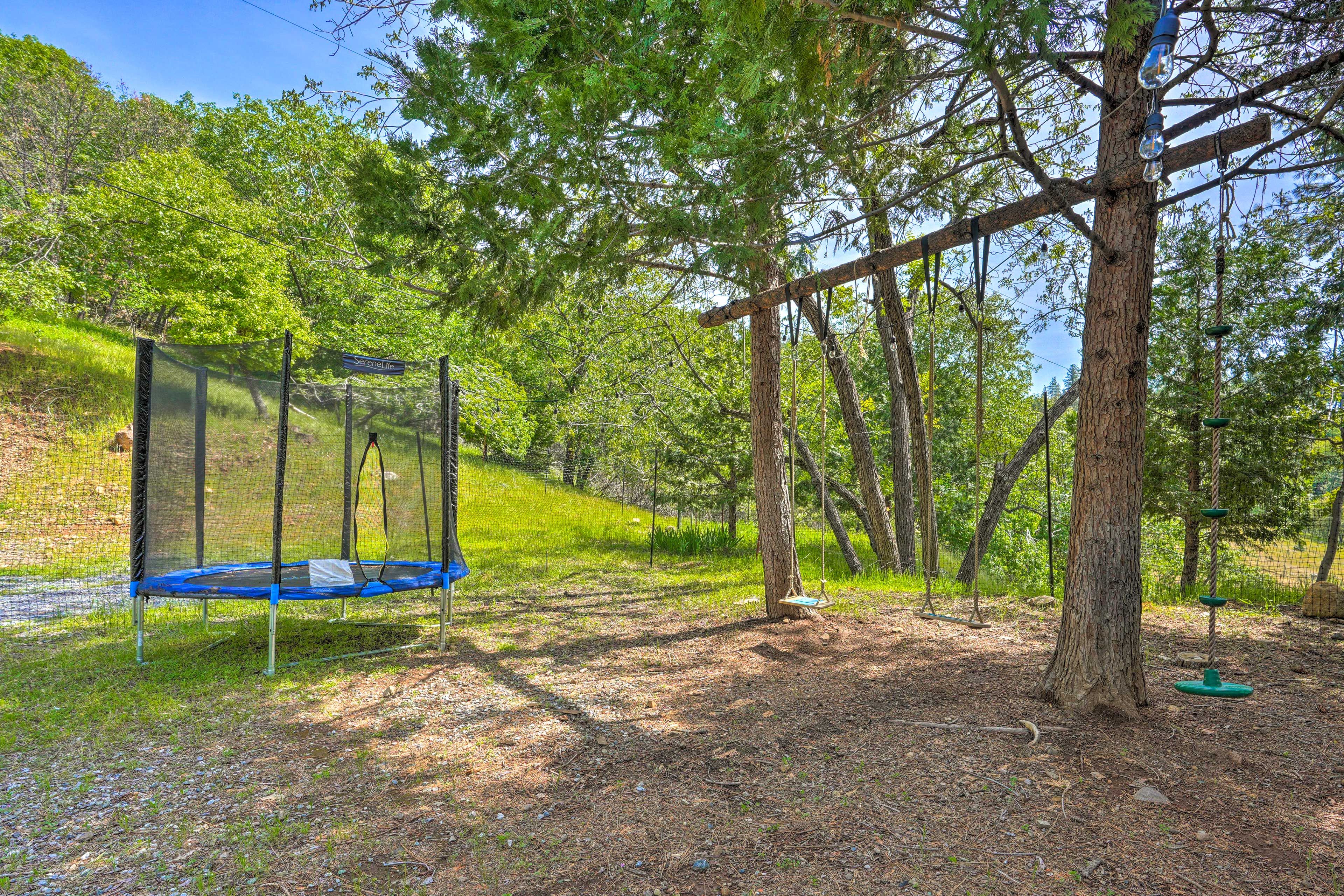 Wooded Backyard | Trampoline | Swings