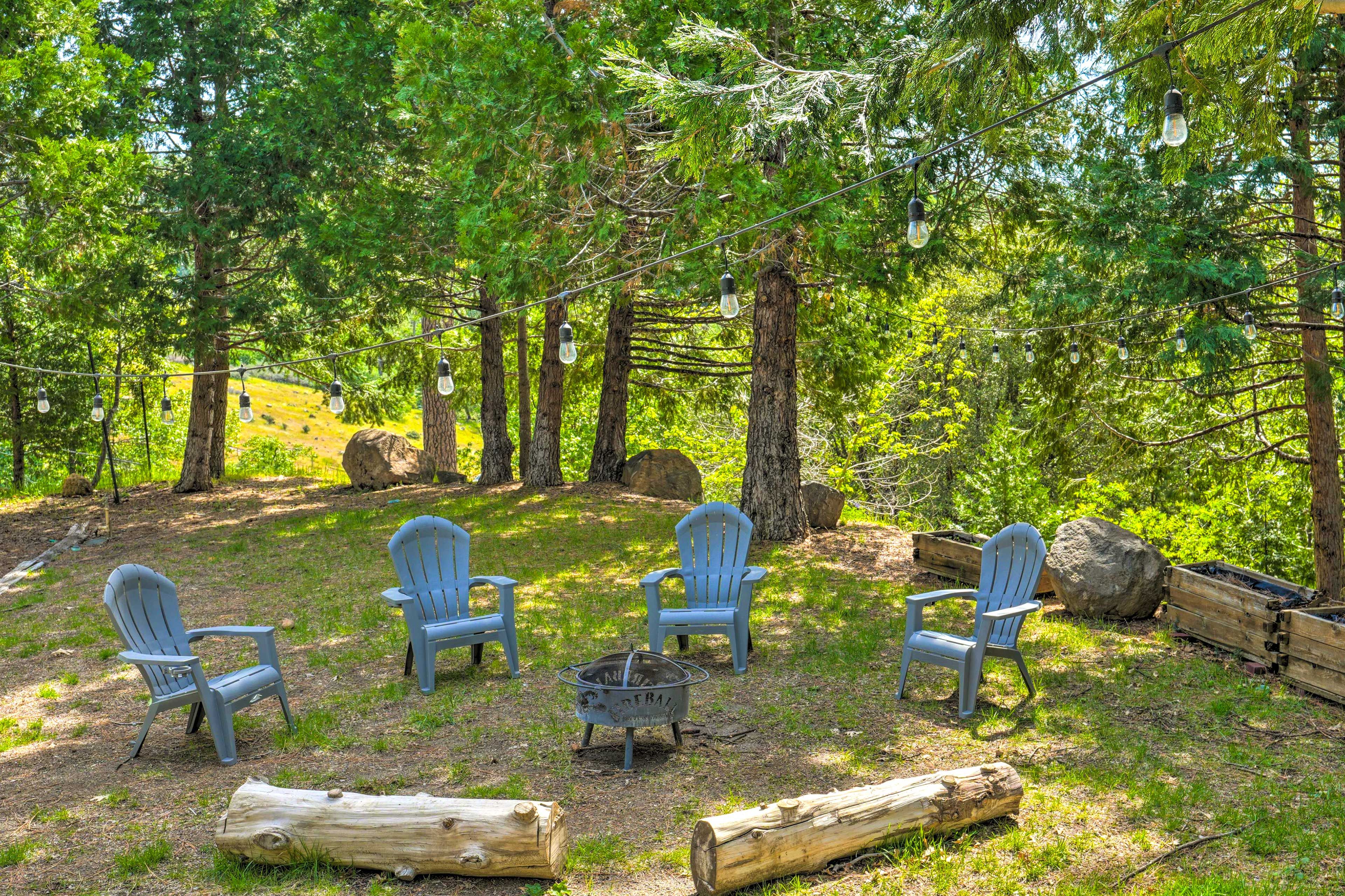 Wooded Backyard | On-Site Hiking Trails