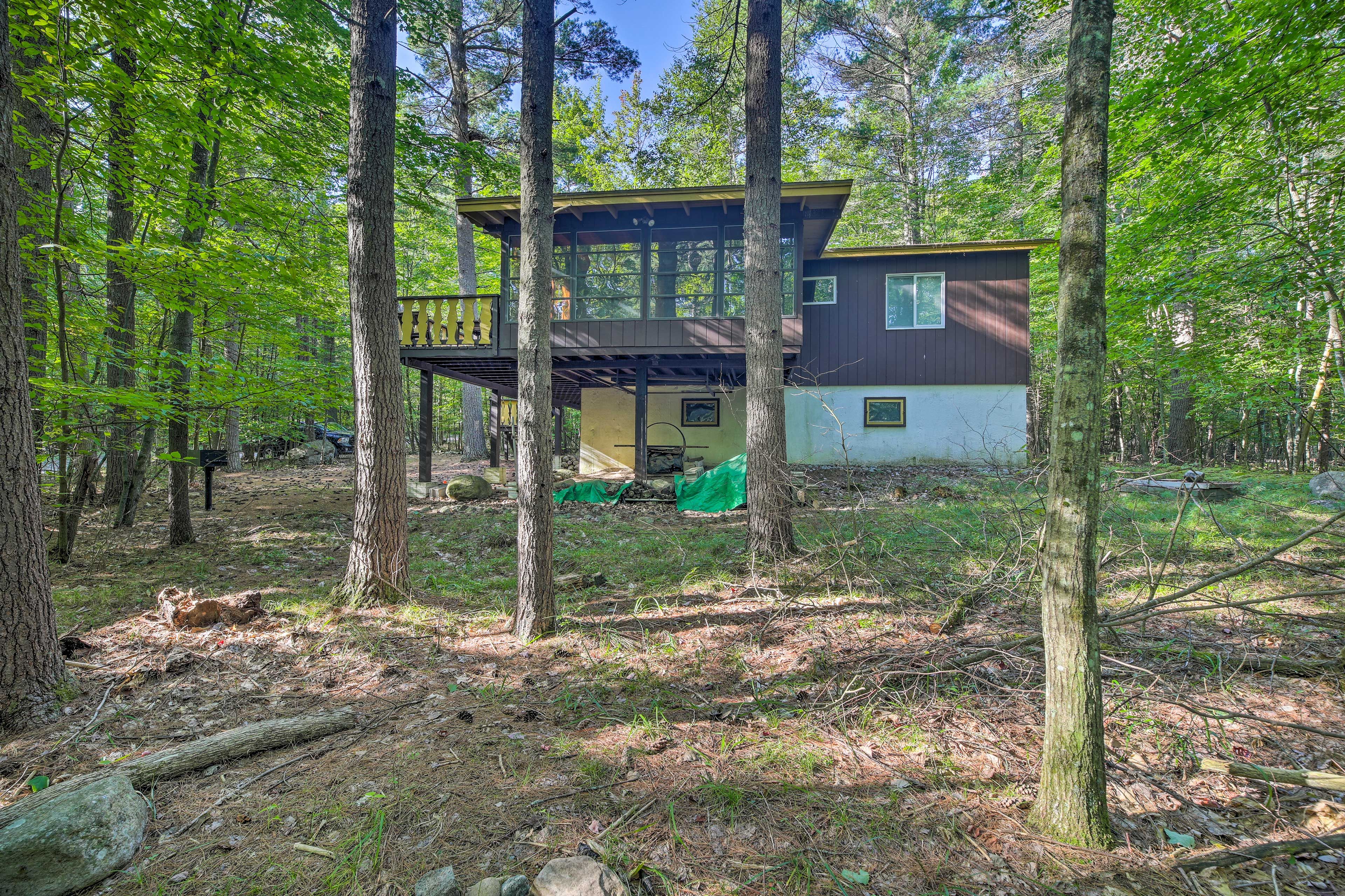 Cabin Exterior | Driveway Parking (4 Vehicles) | RV/Trailer Parking