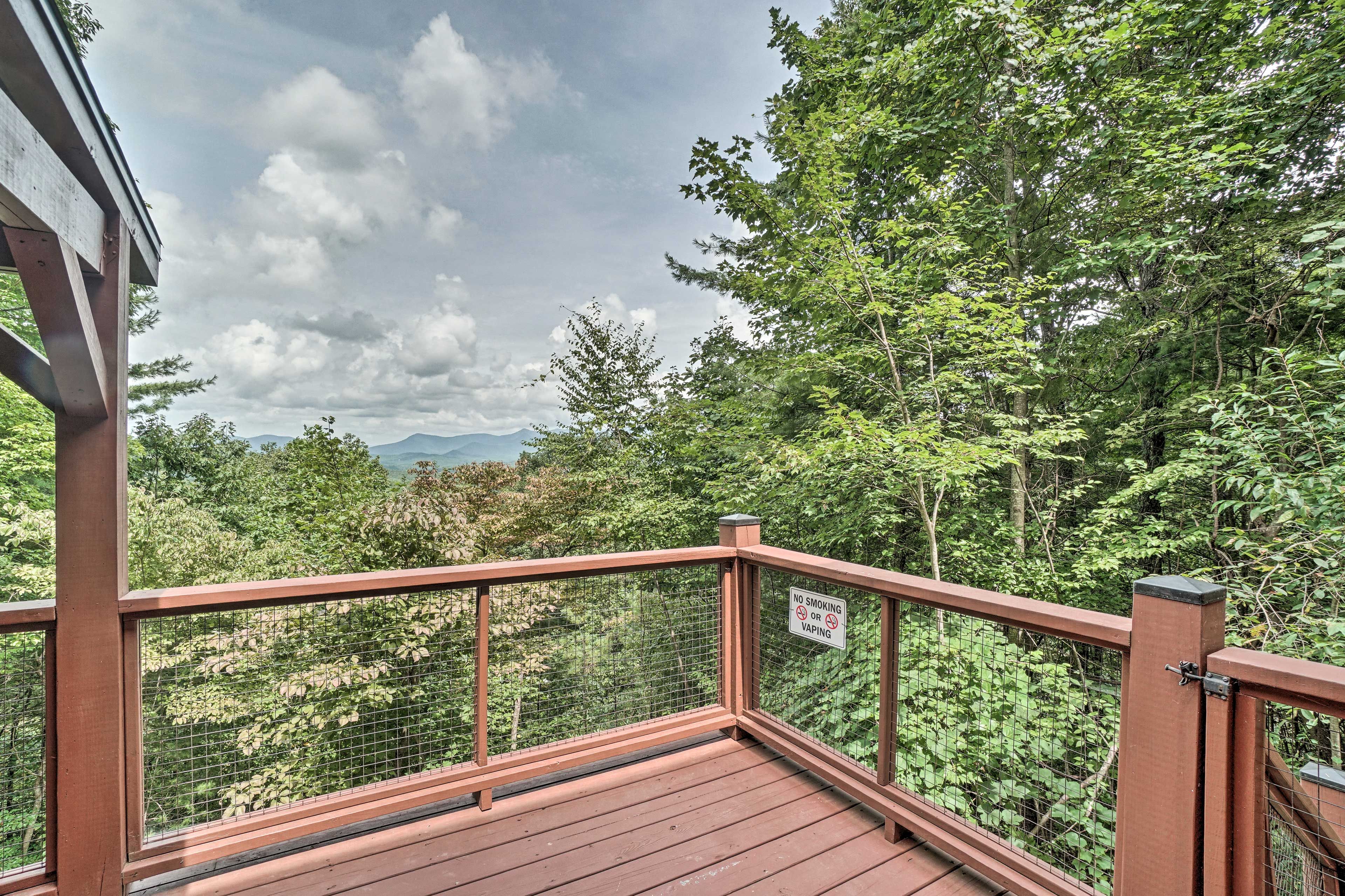 Deck Views