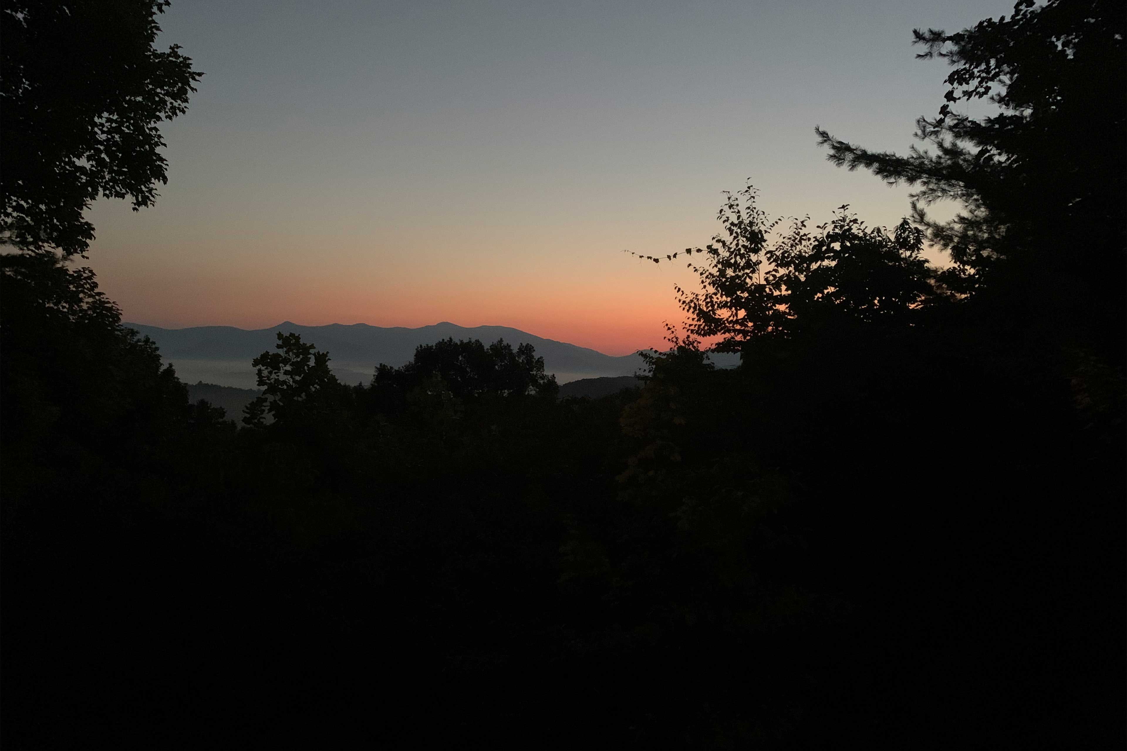 Deck Views