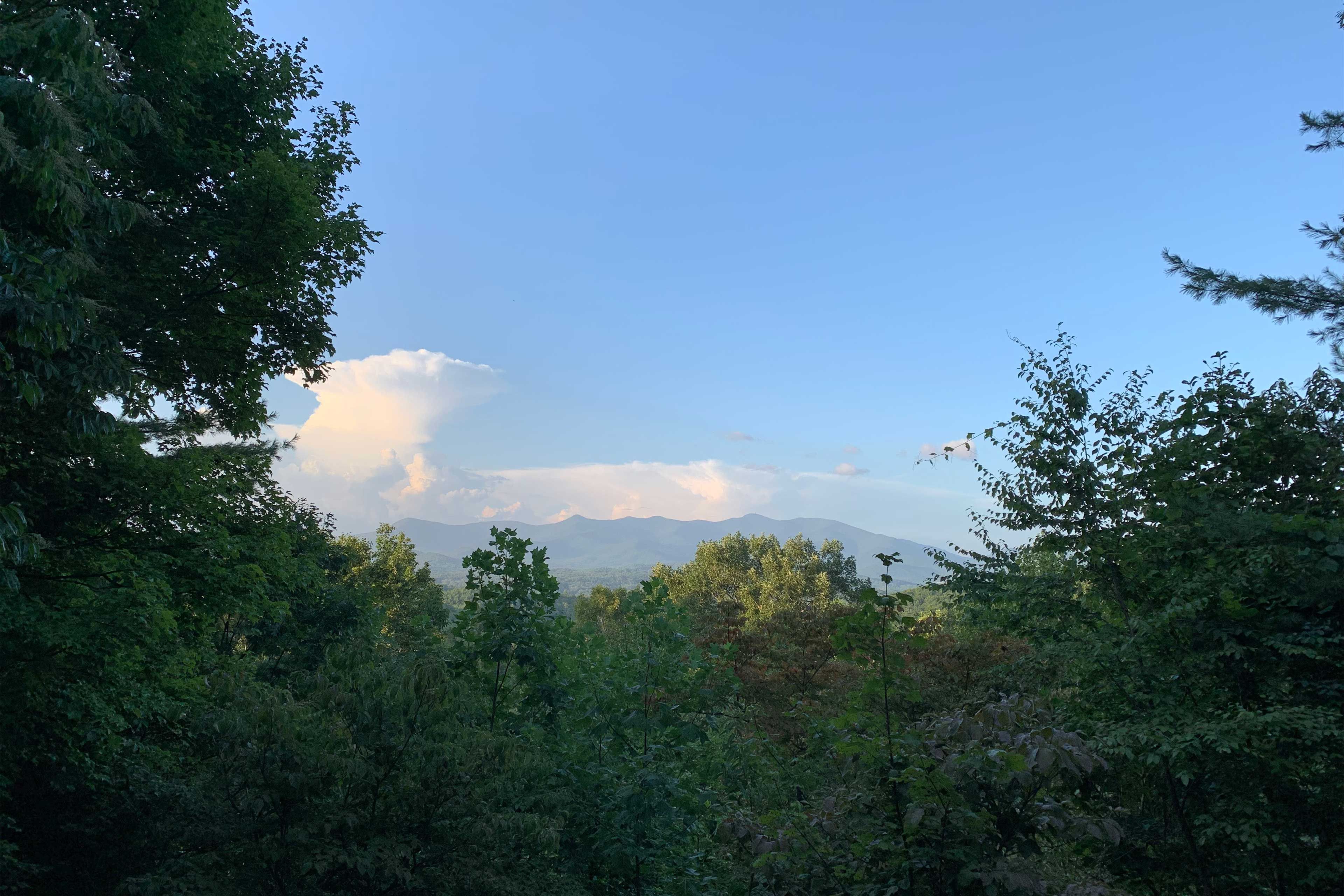 Deck Views