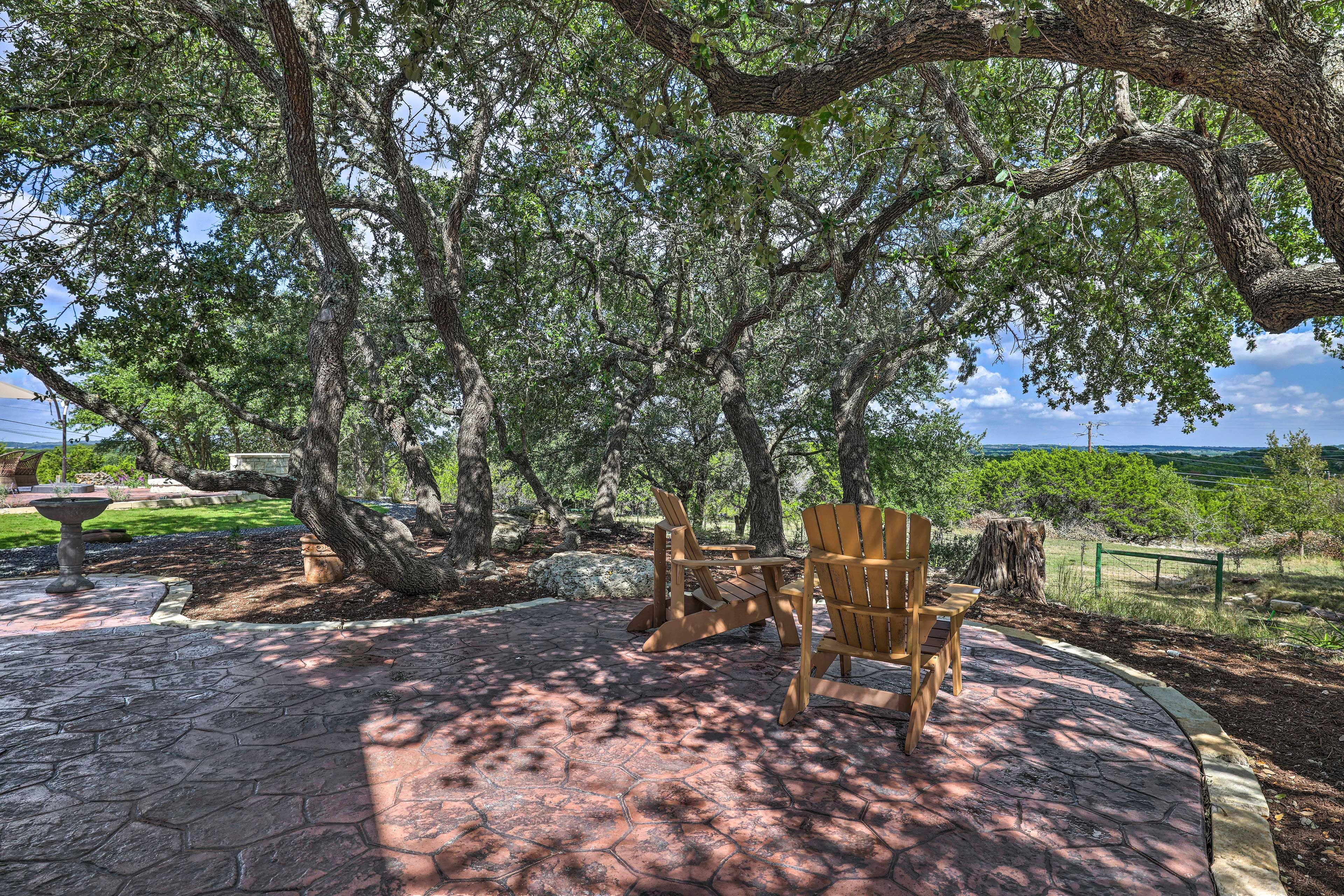 Private Yard w/ View