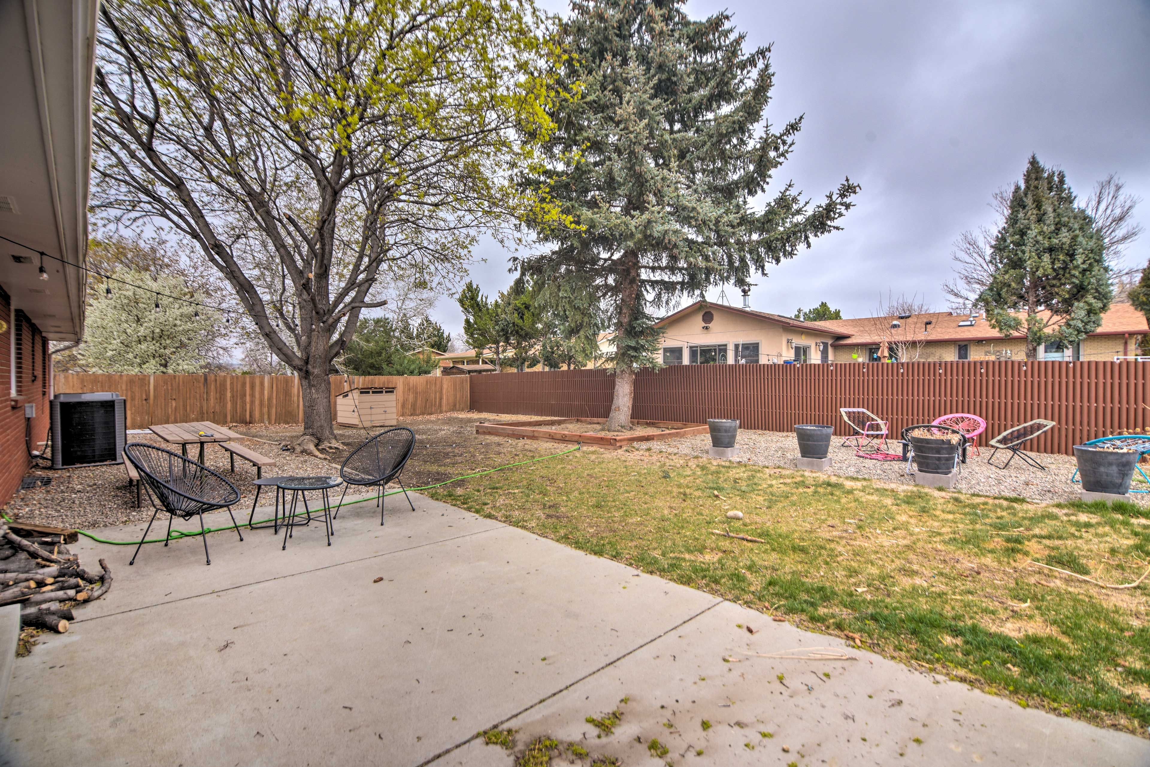 Backyard