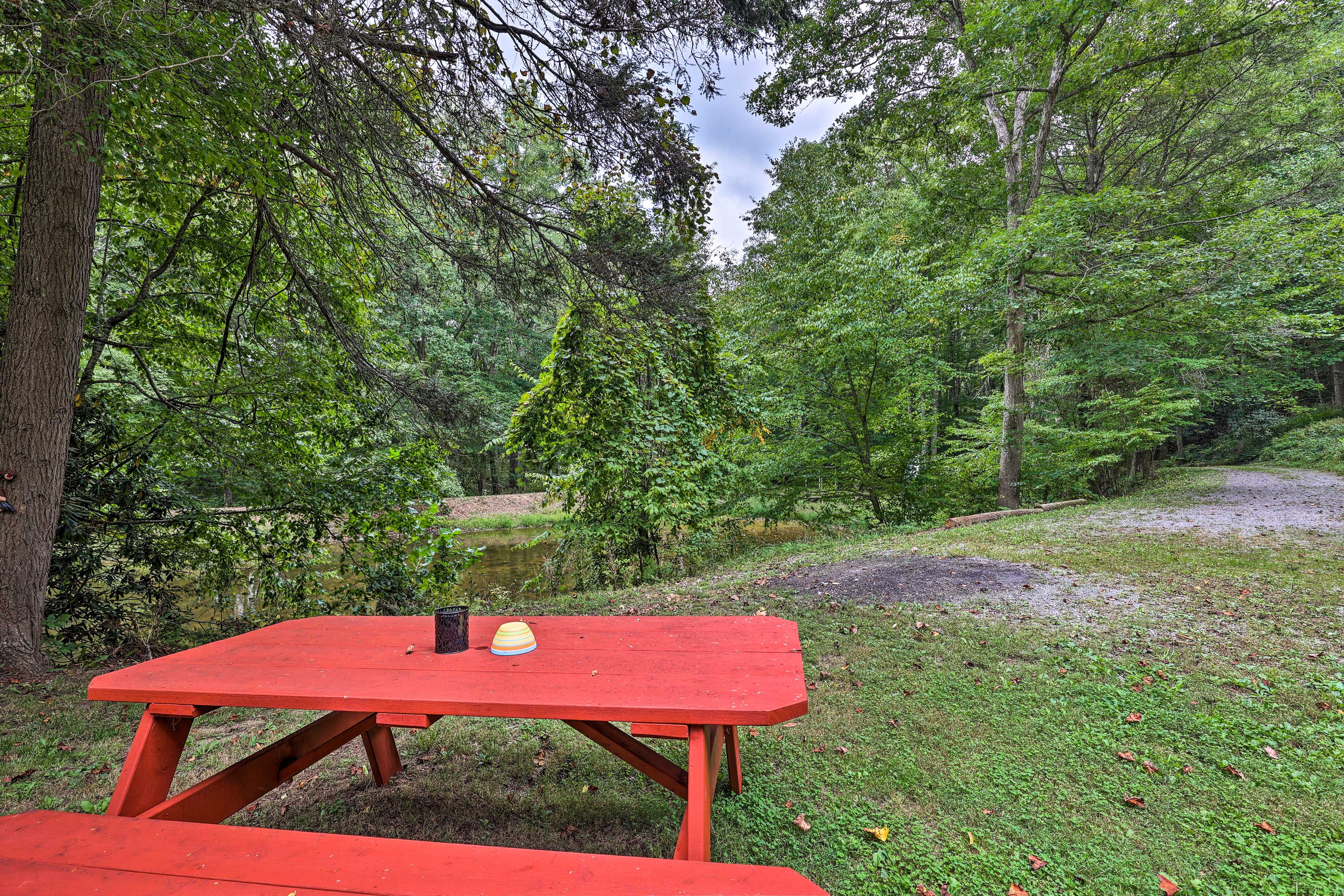 Backyard | Picnic Table