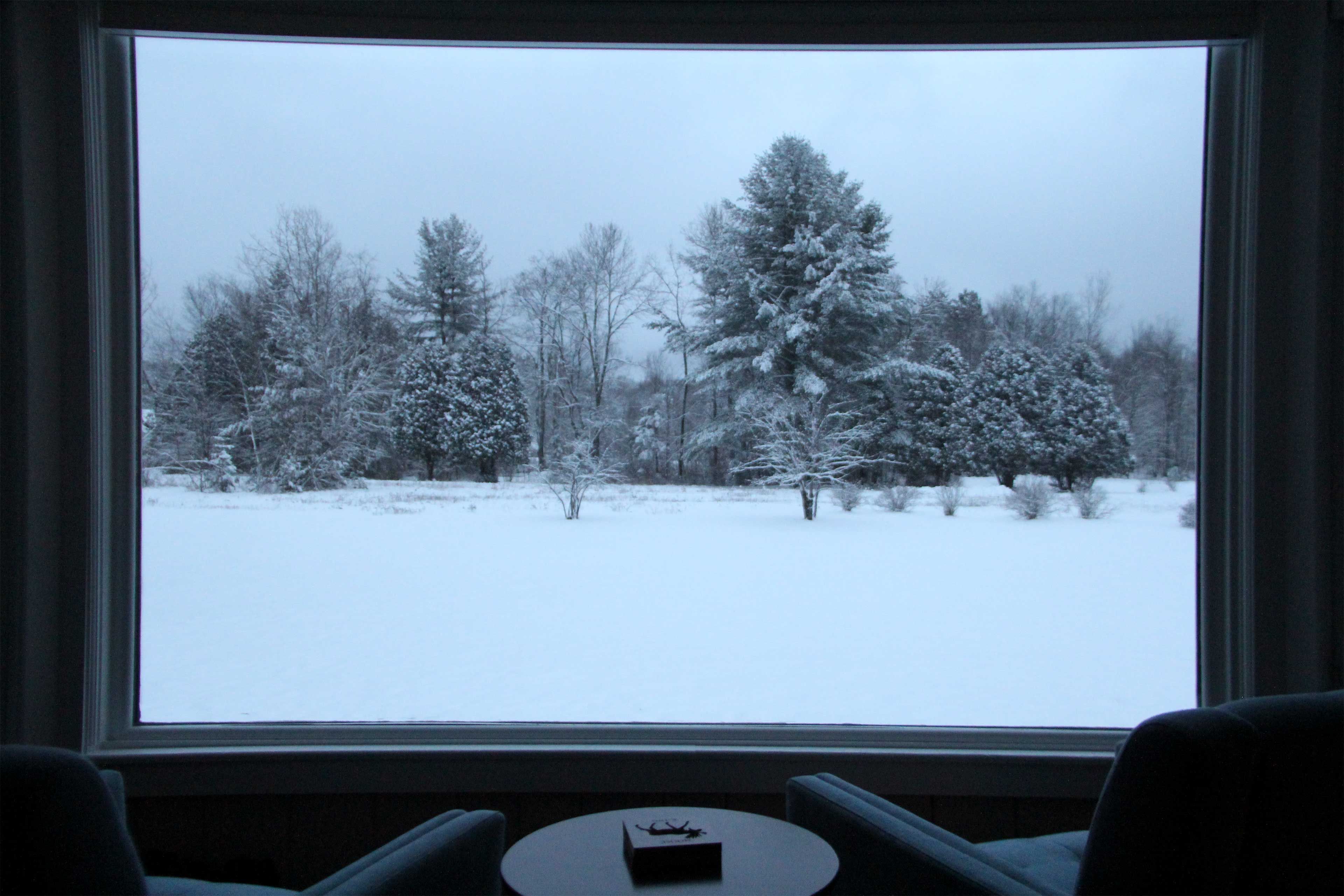 Winter View