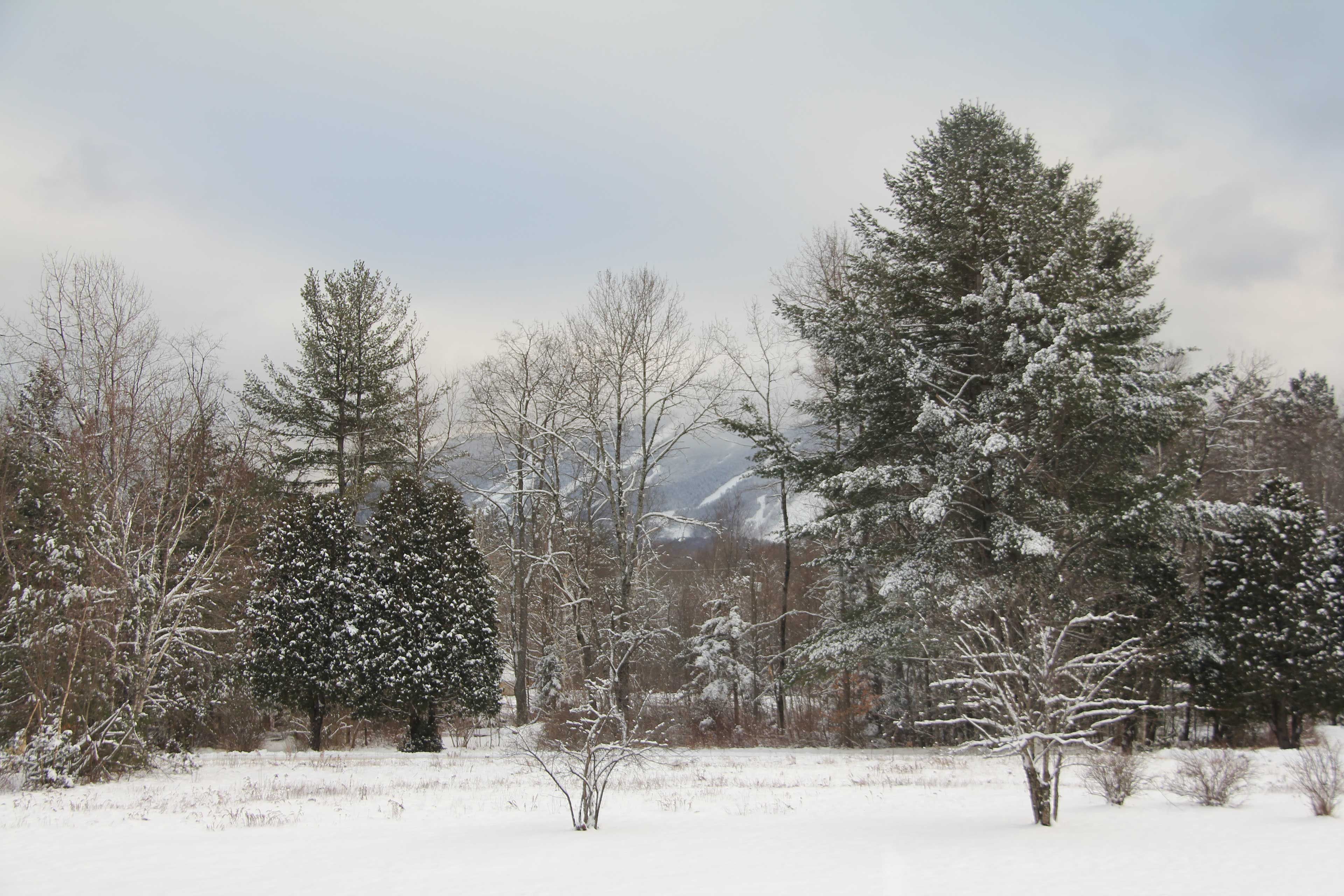 Cannon Mountain Ski Resort | 3 Miles Away