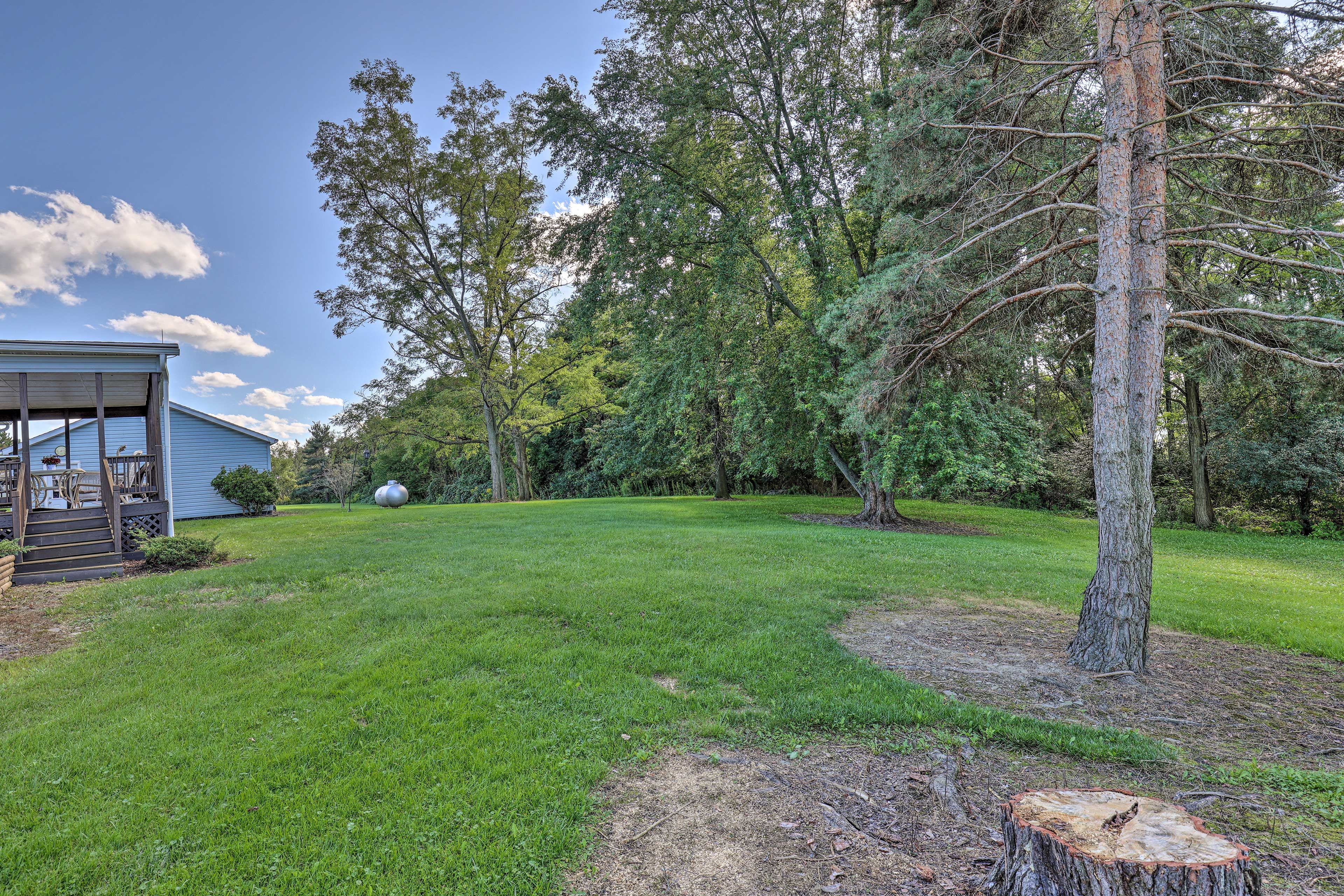 Spacious Yard