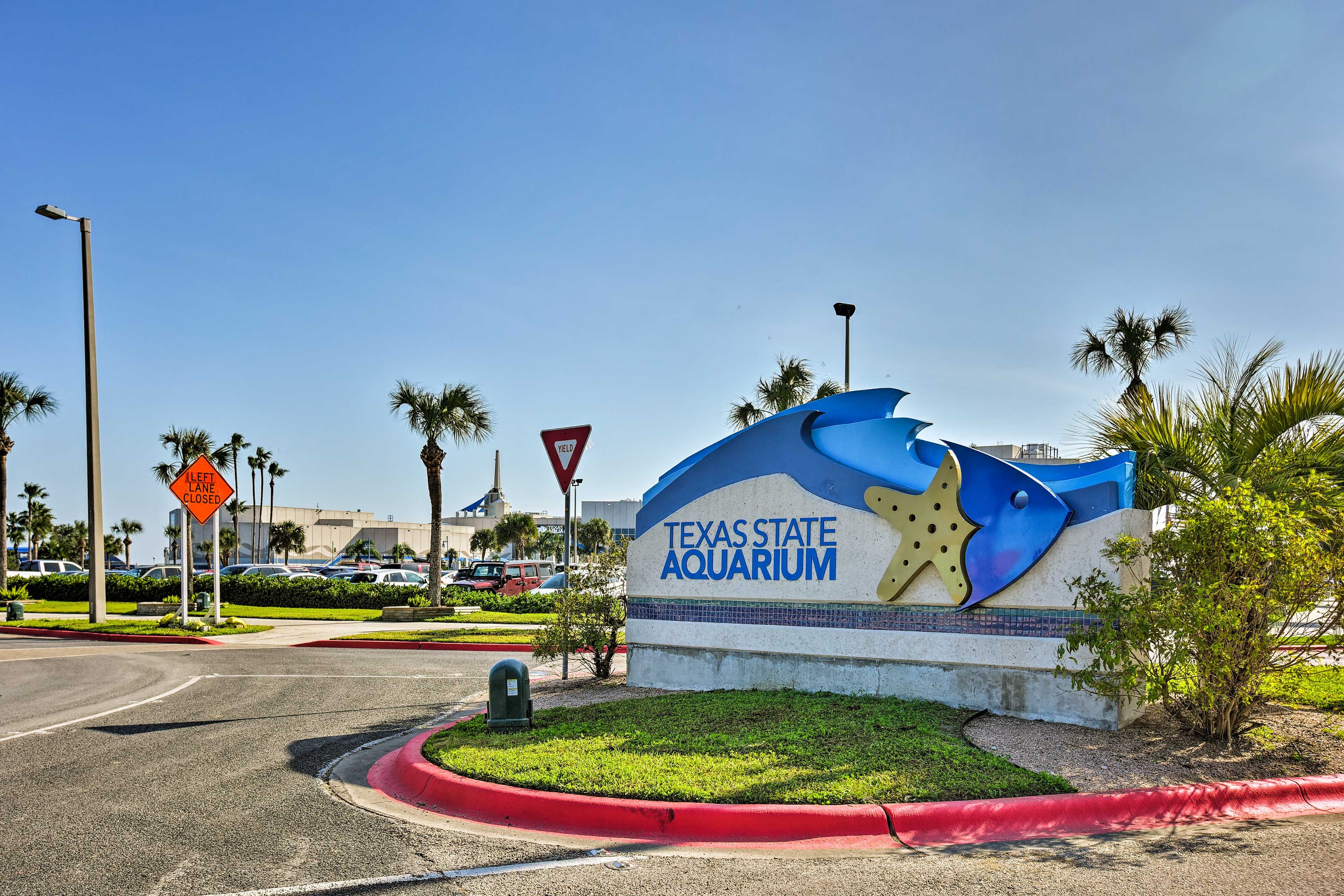 Nearby Attraction
