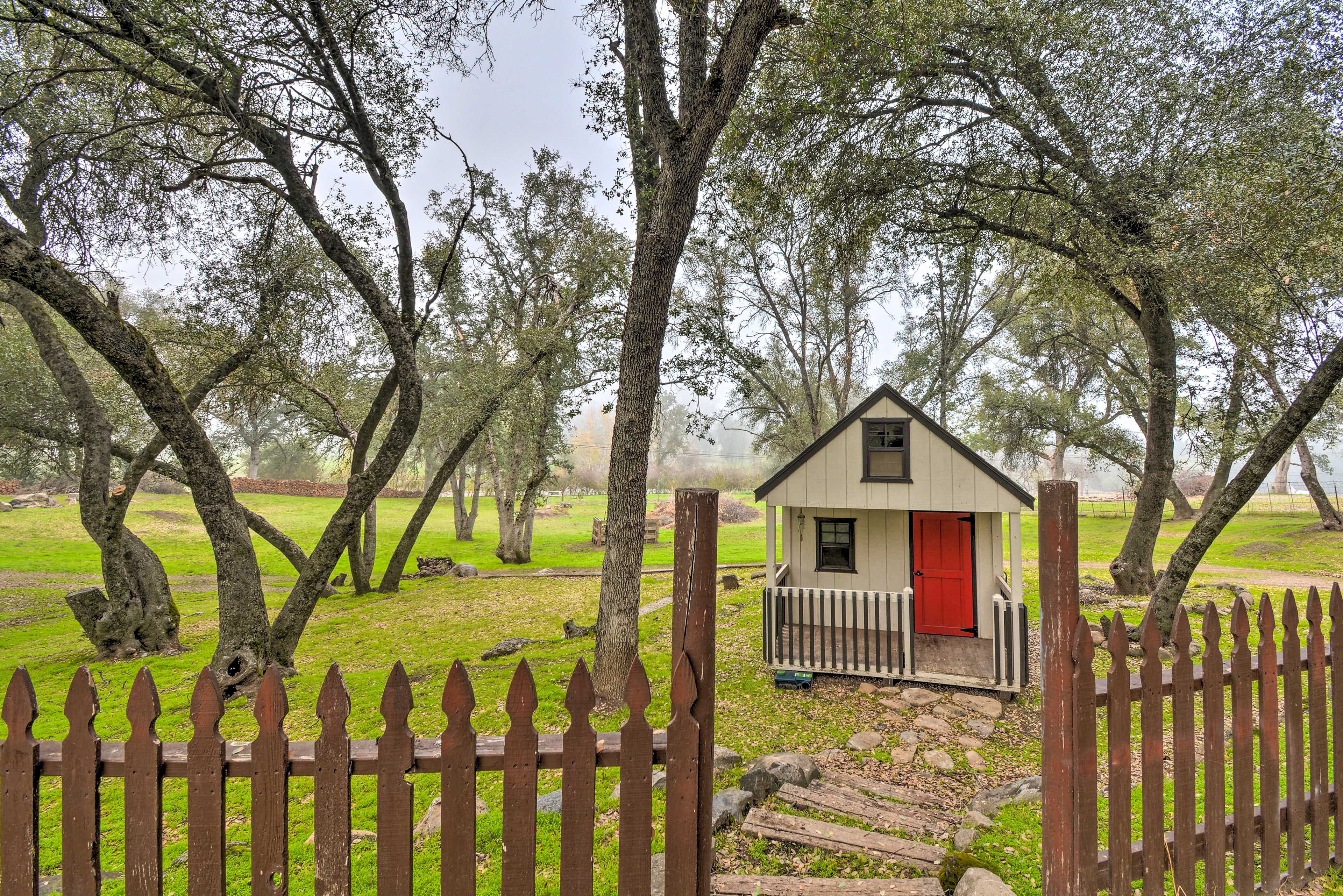 Shared Outdoor Amenities | Playhouse