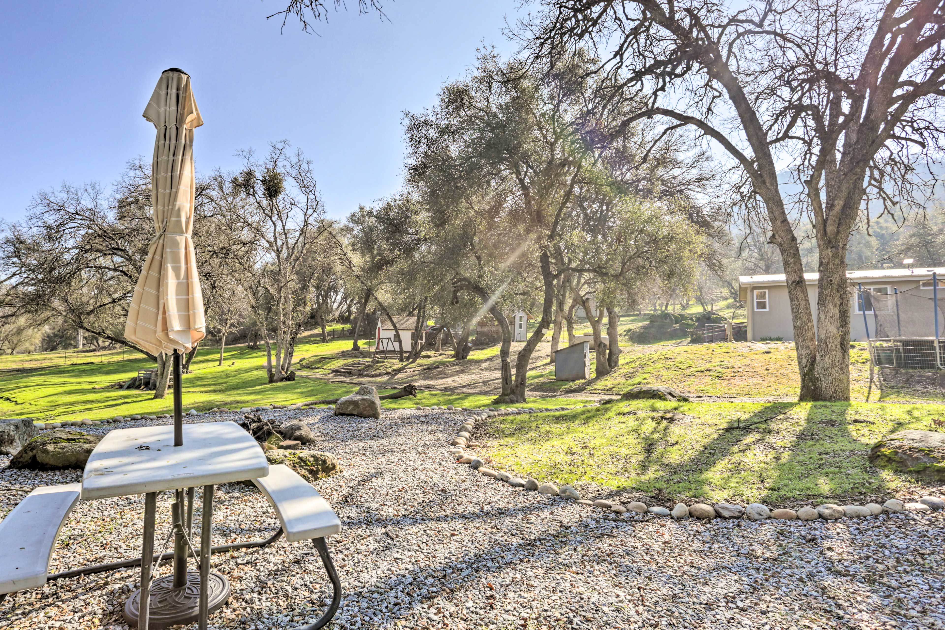 Shared Outdoor Amenities