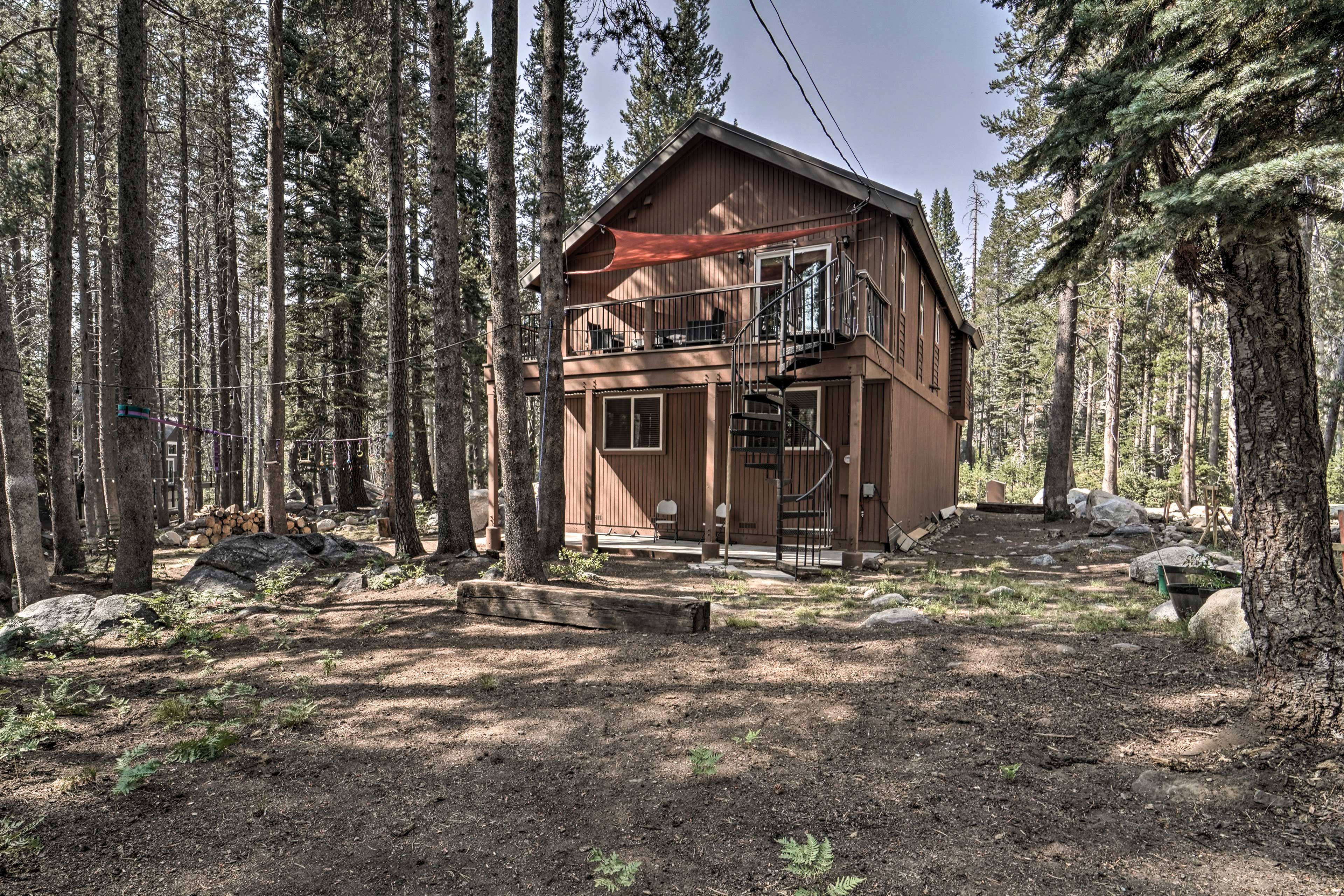 Cabin Exterior
