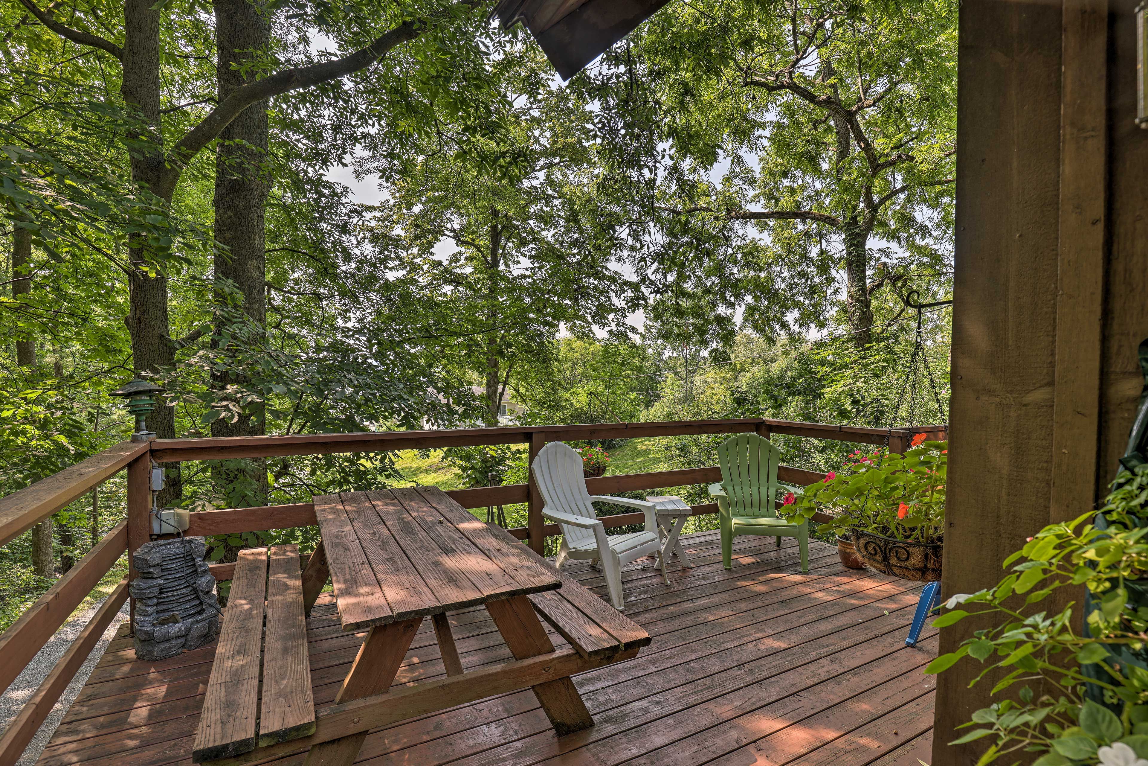 Wraparound Deck | Pet Friendly w/ Fee
