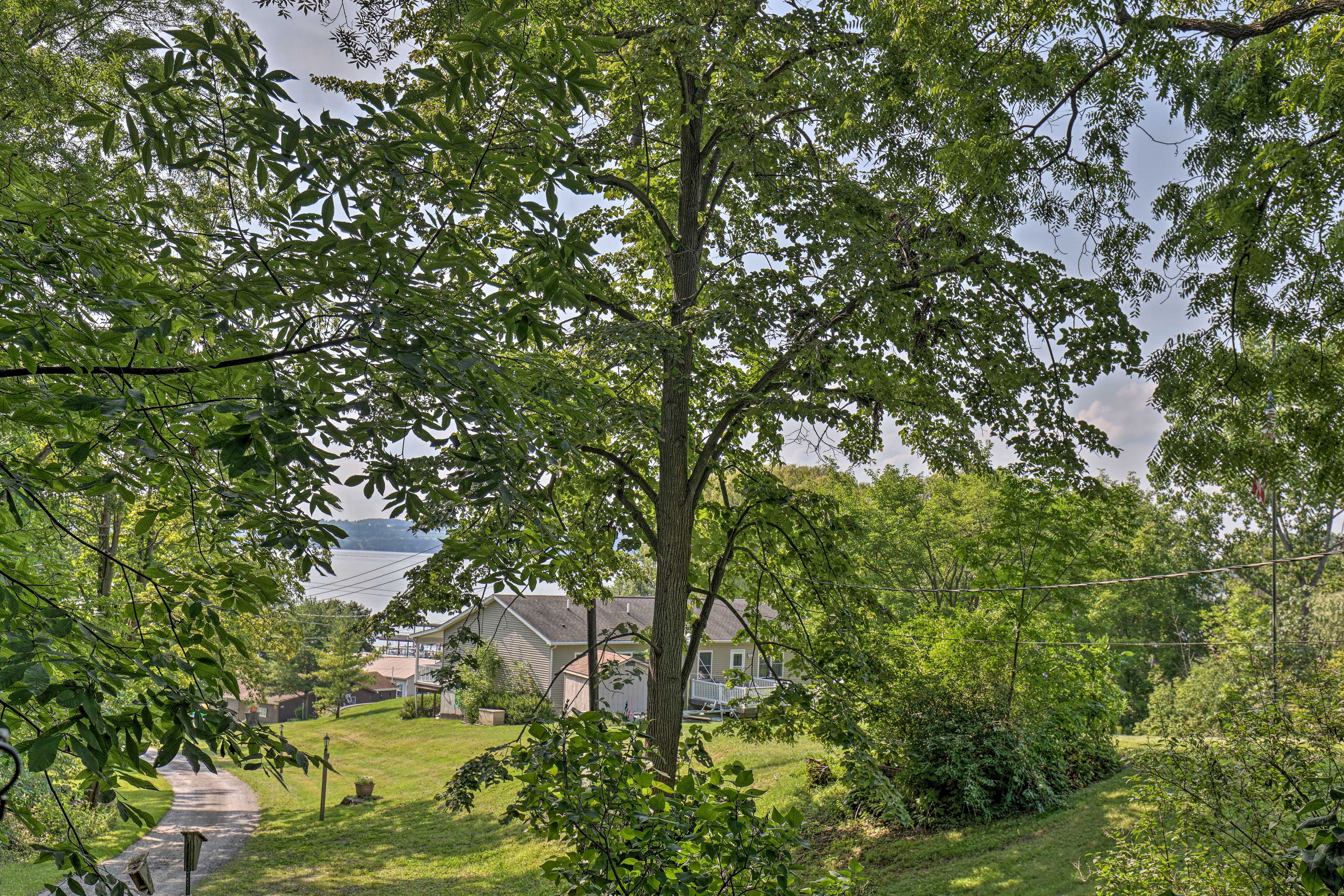 View from Wraparound Deck