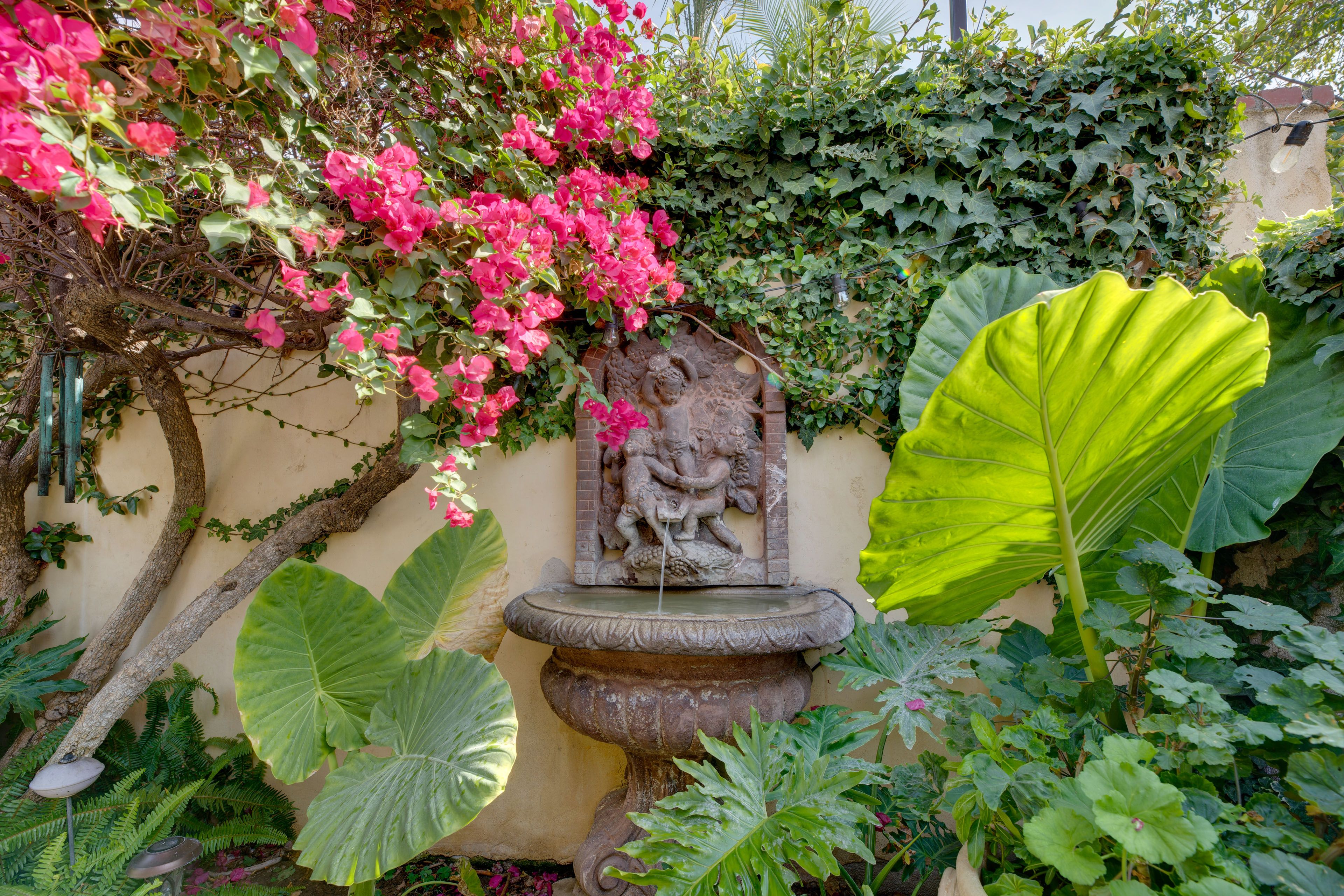 Image 27