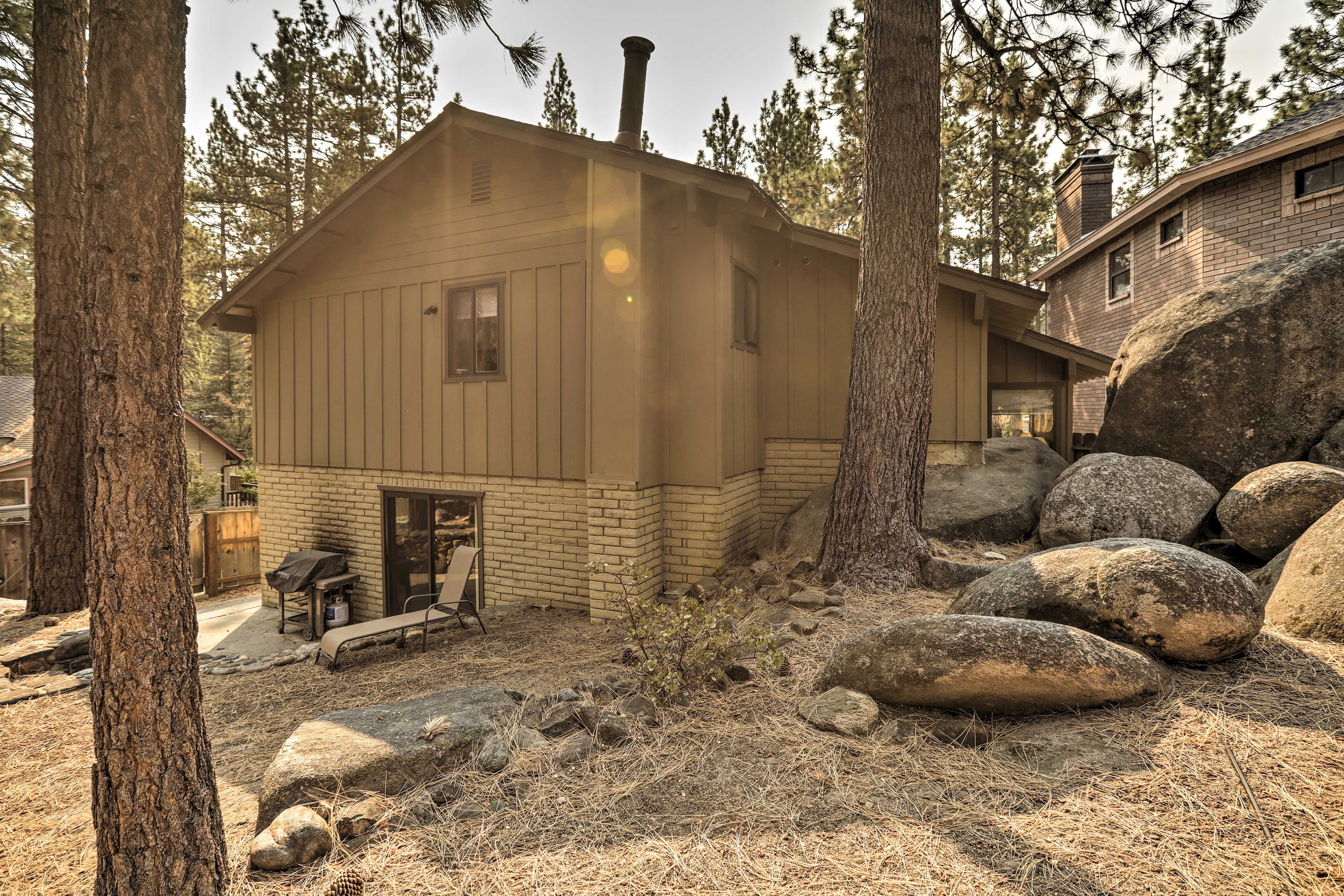 Backyard | Gas Grill