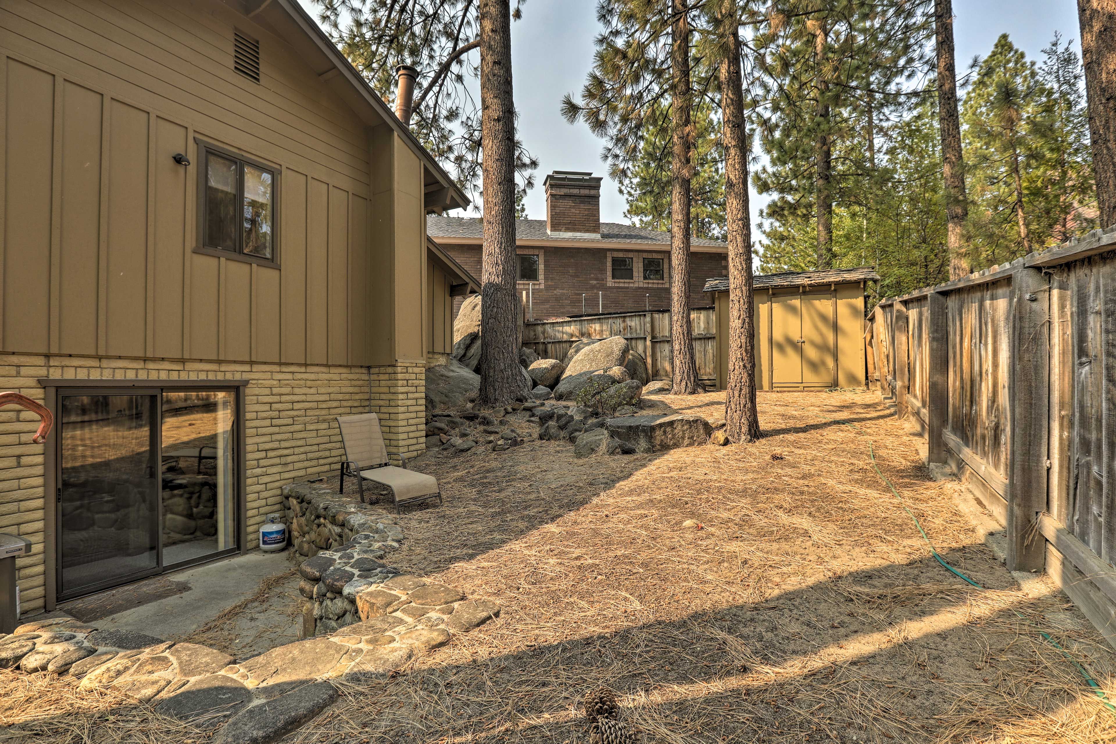 Backyard