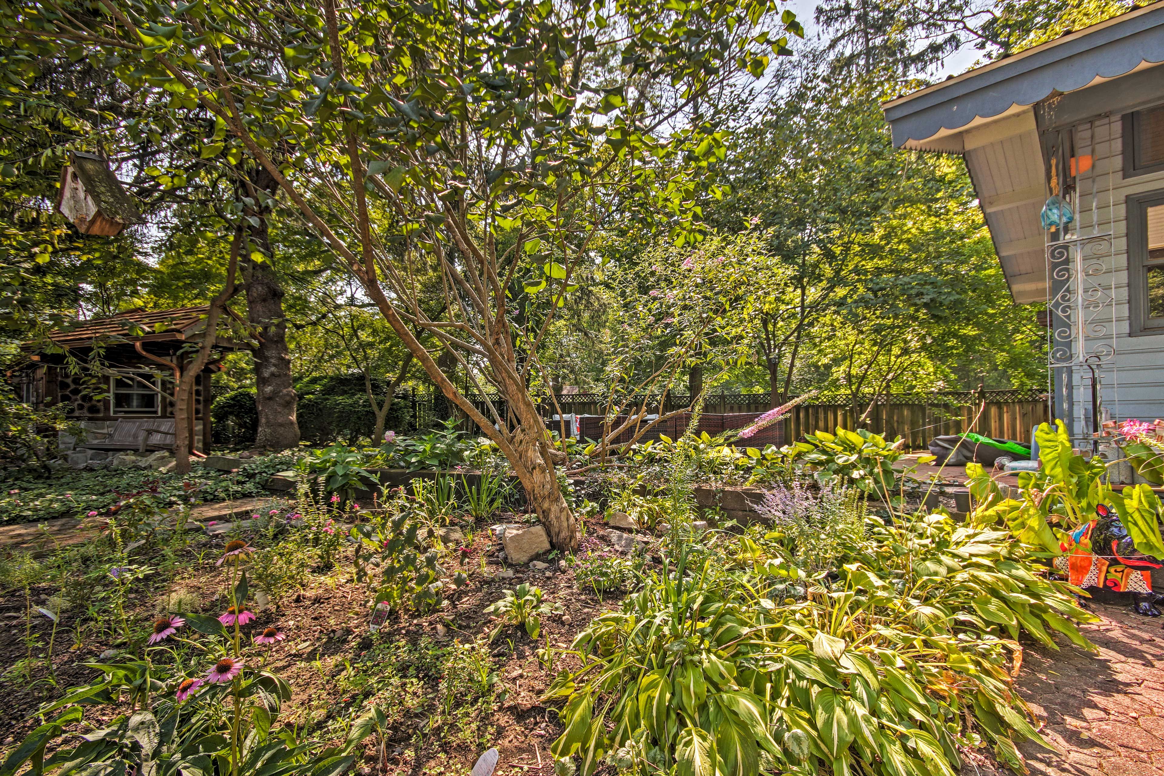 Private Yard