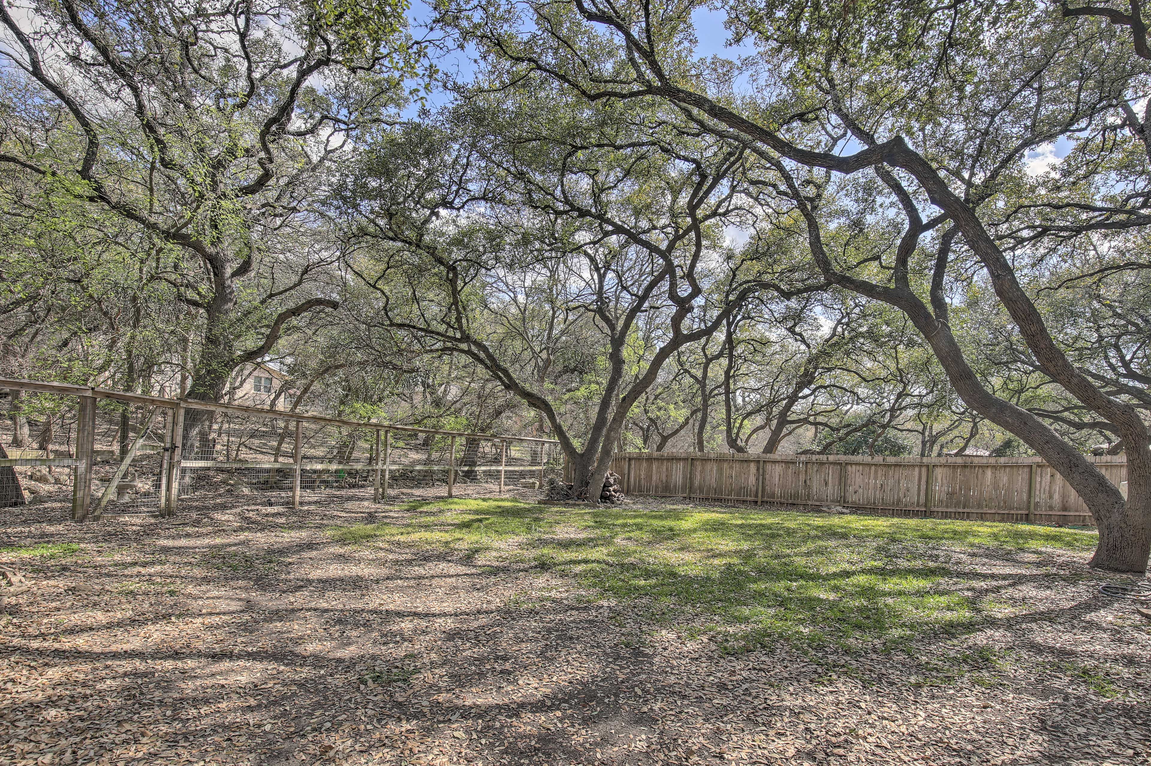 Shared Backyard
