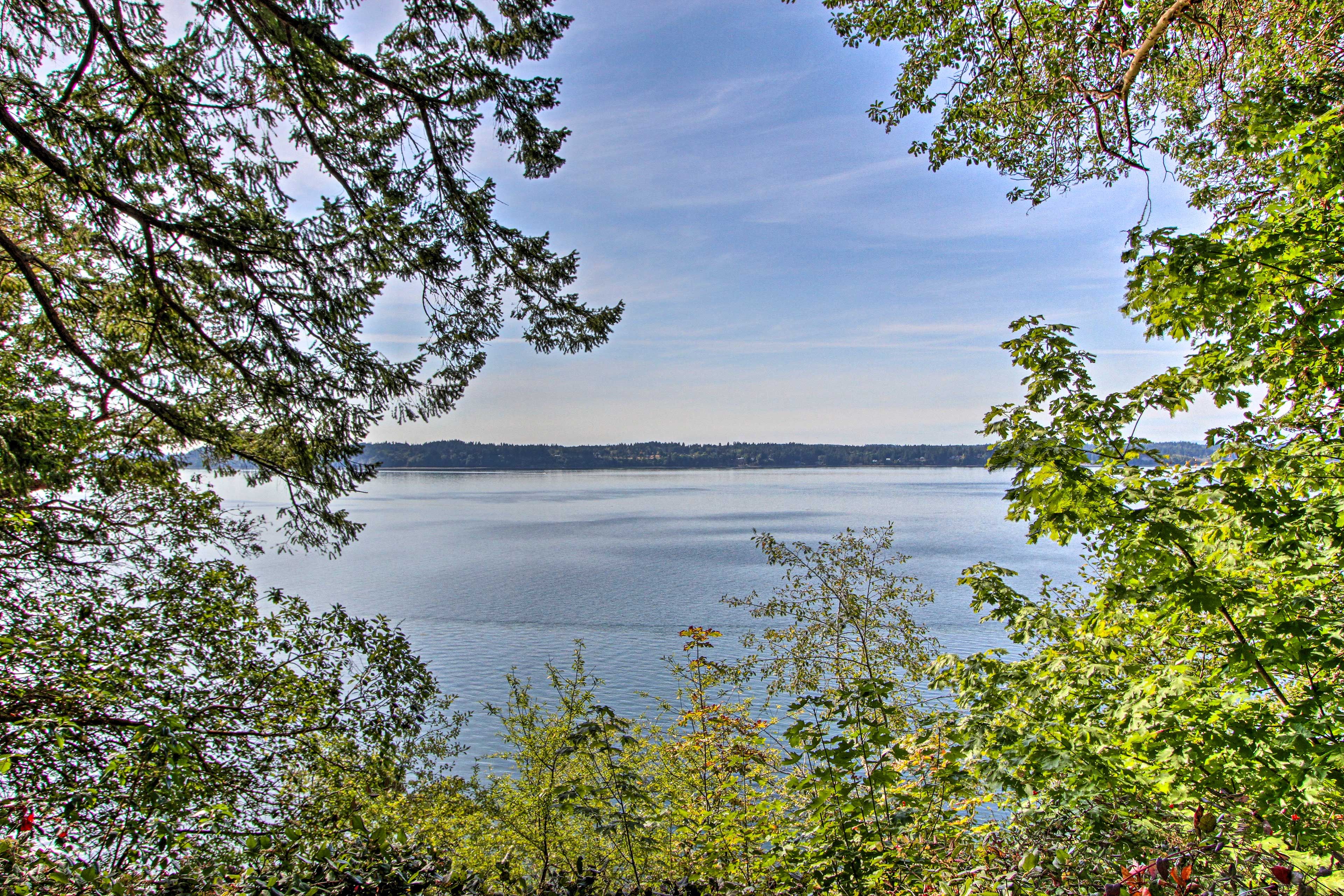 Water Views