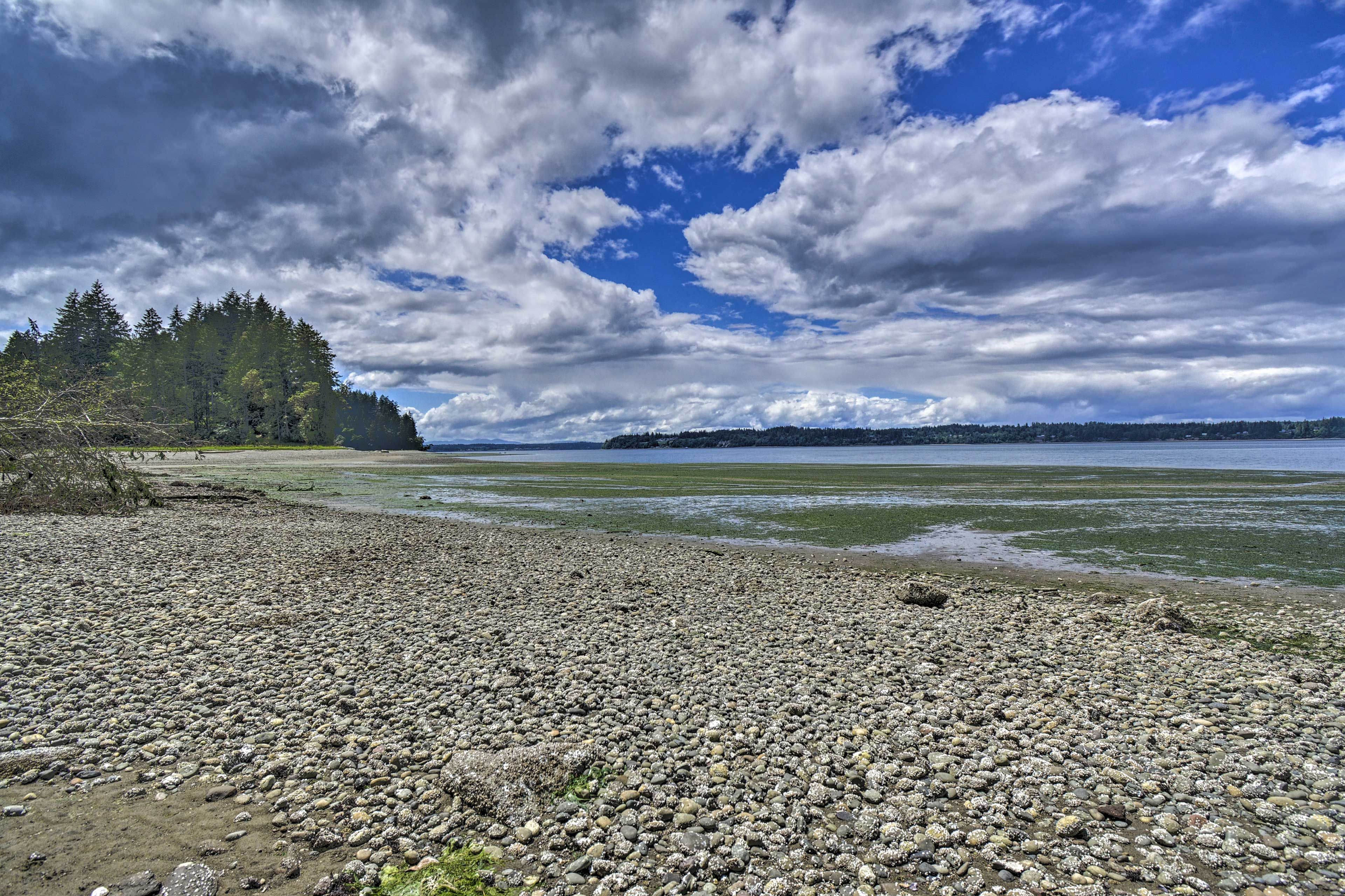 Private Beach | Low Tide