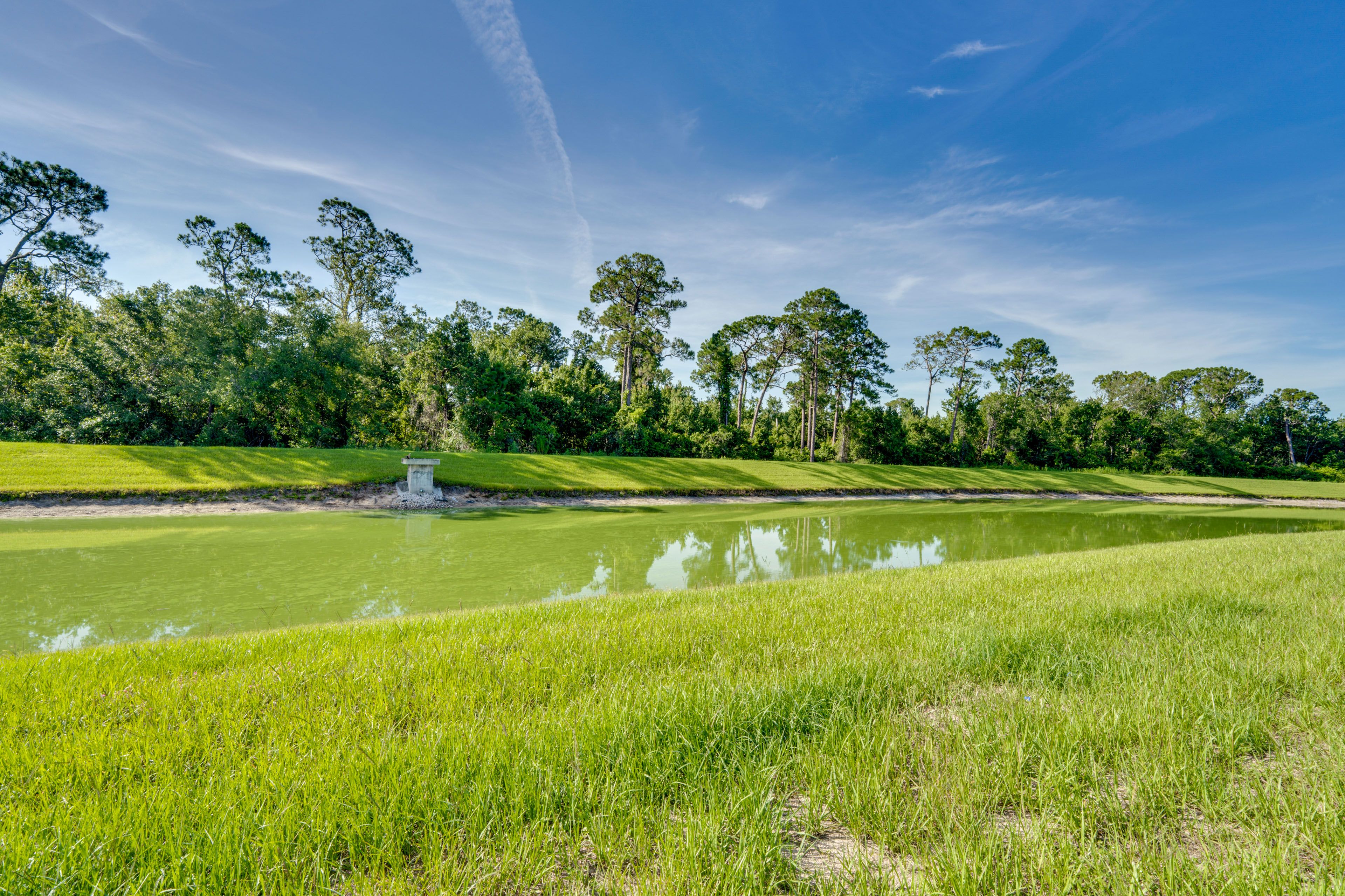 Pond Views