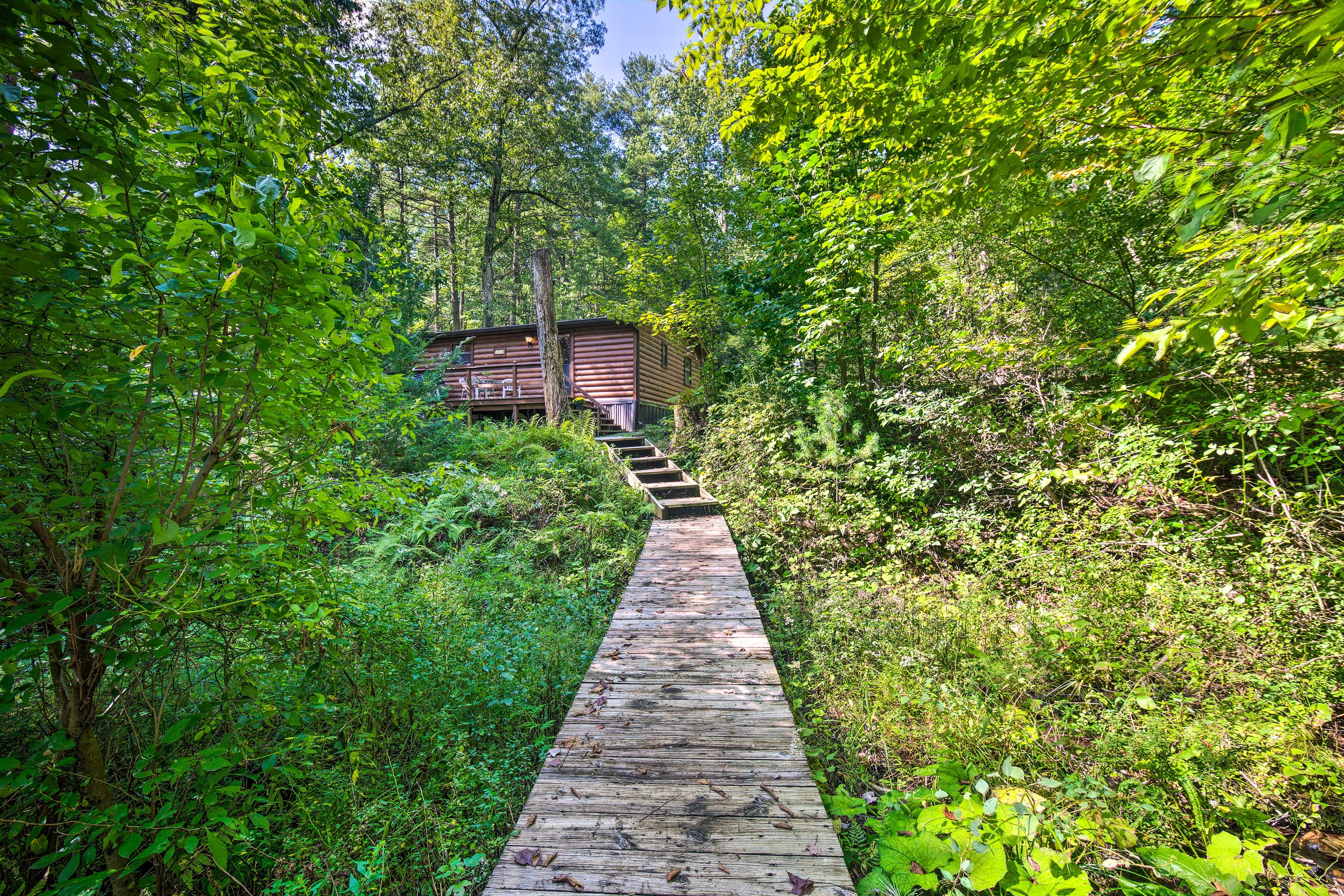 Yard | Fire Pit Access