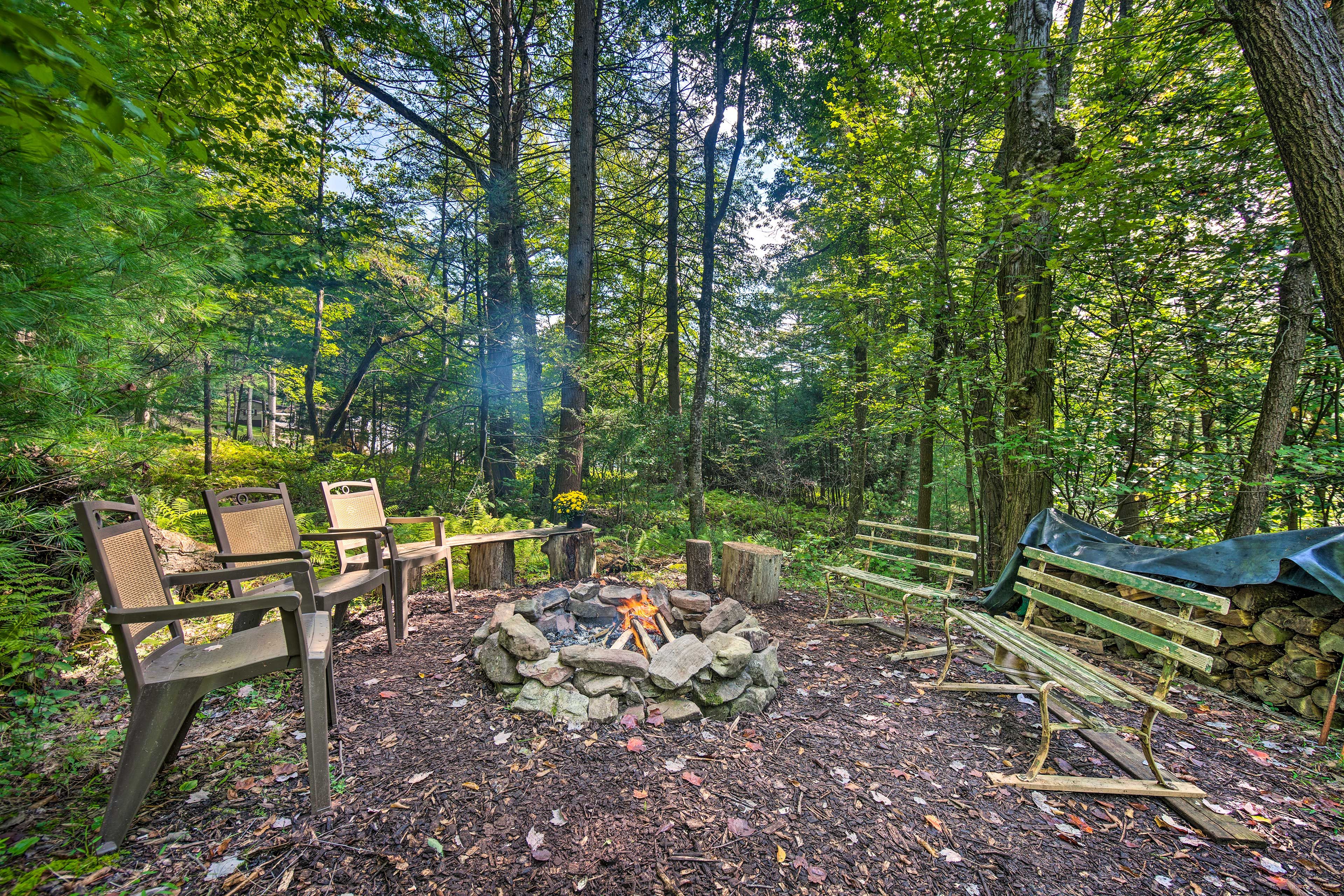 Fire Pit | Firewood Provided