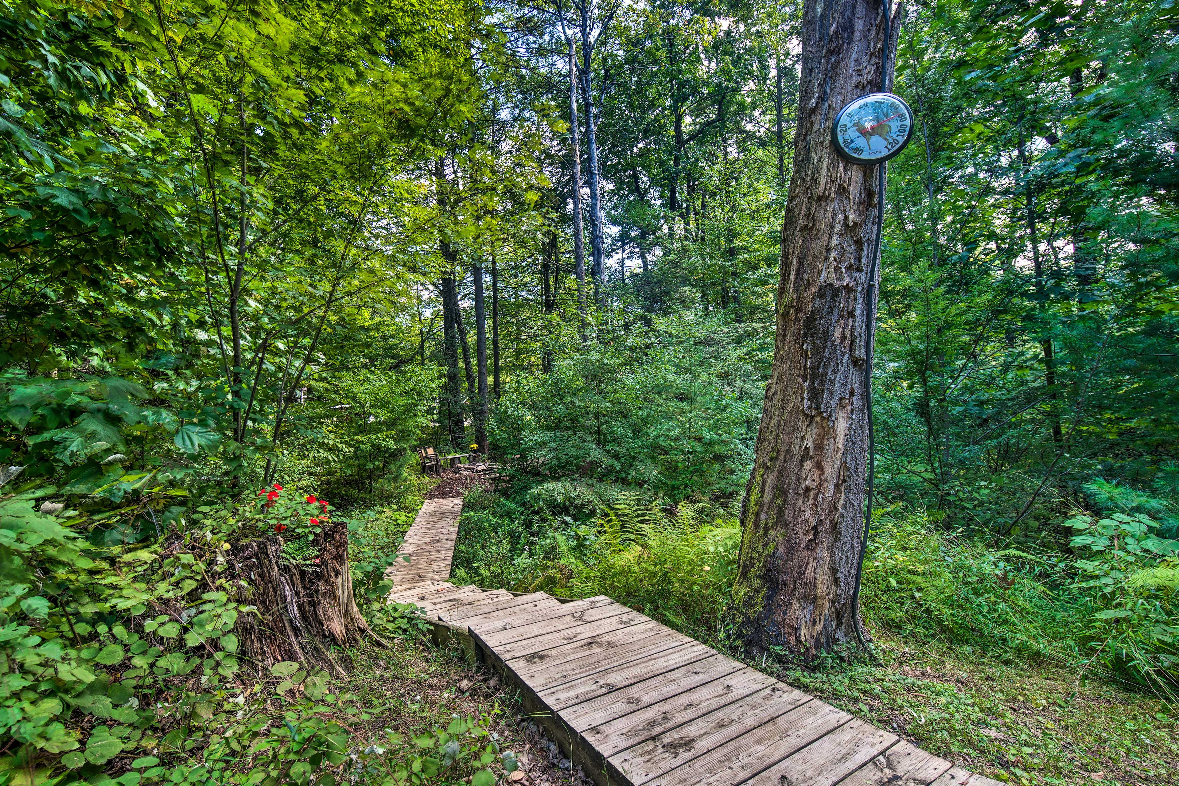 Yard | Access to Fire Pit