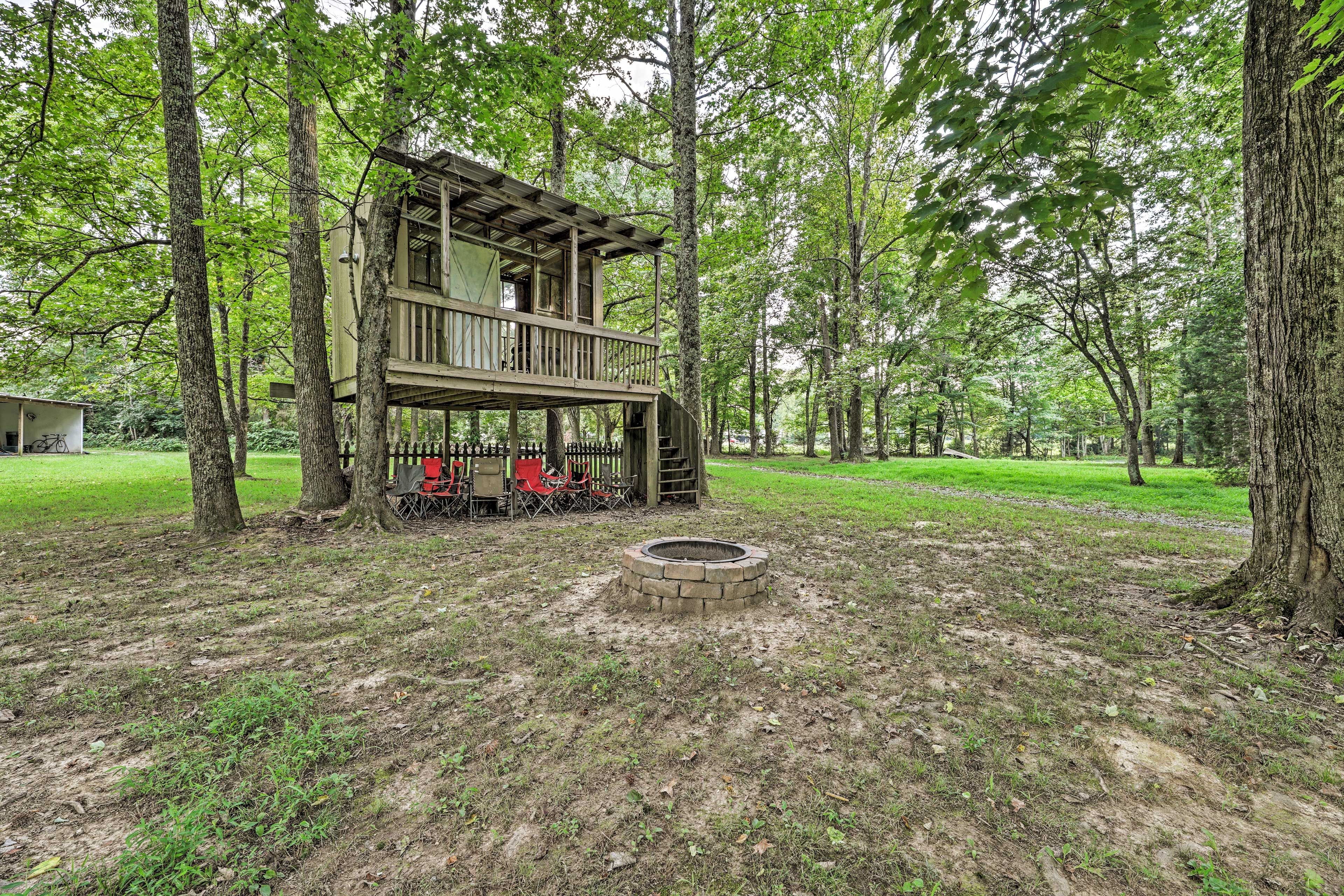Back Yard | Fire Pit | Treehouse