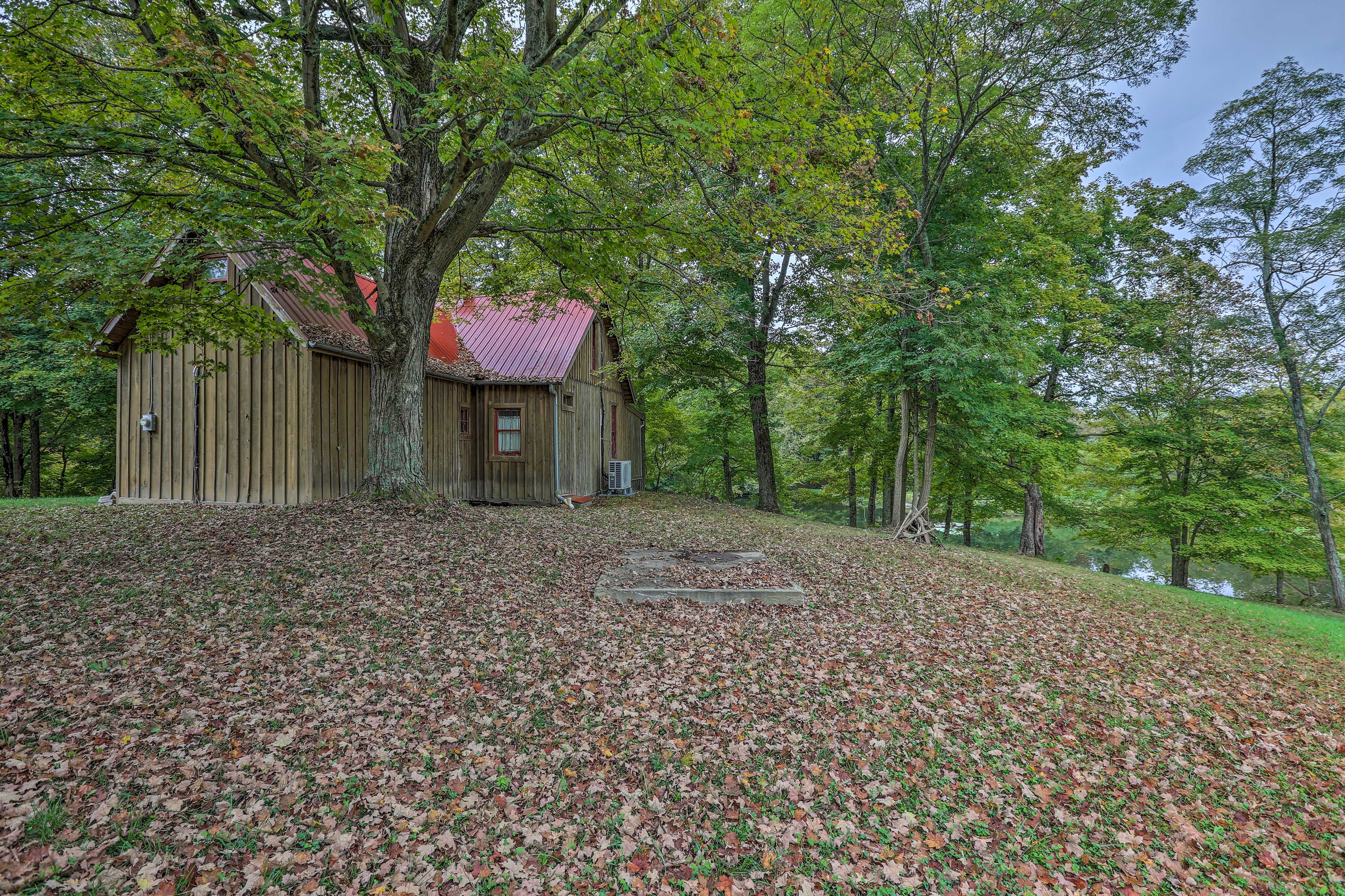 Cabin Exterior