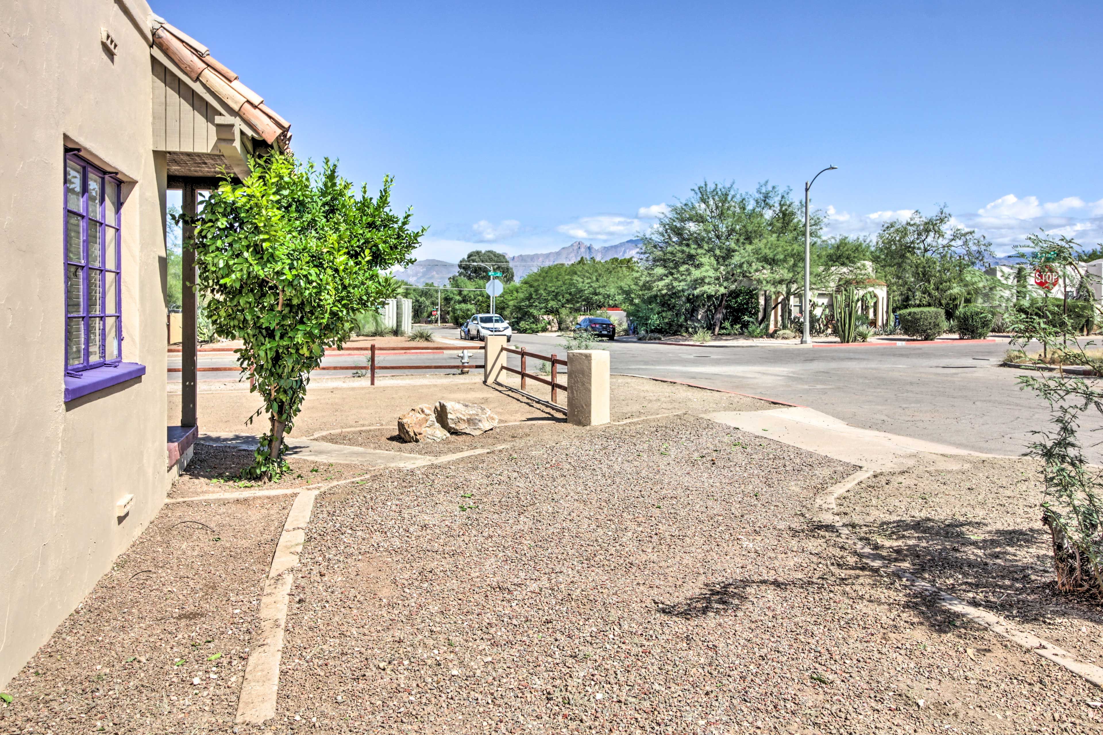 Driveway